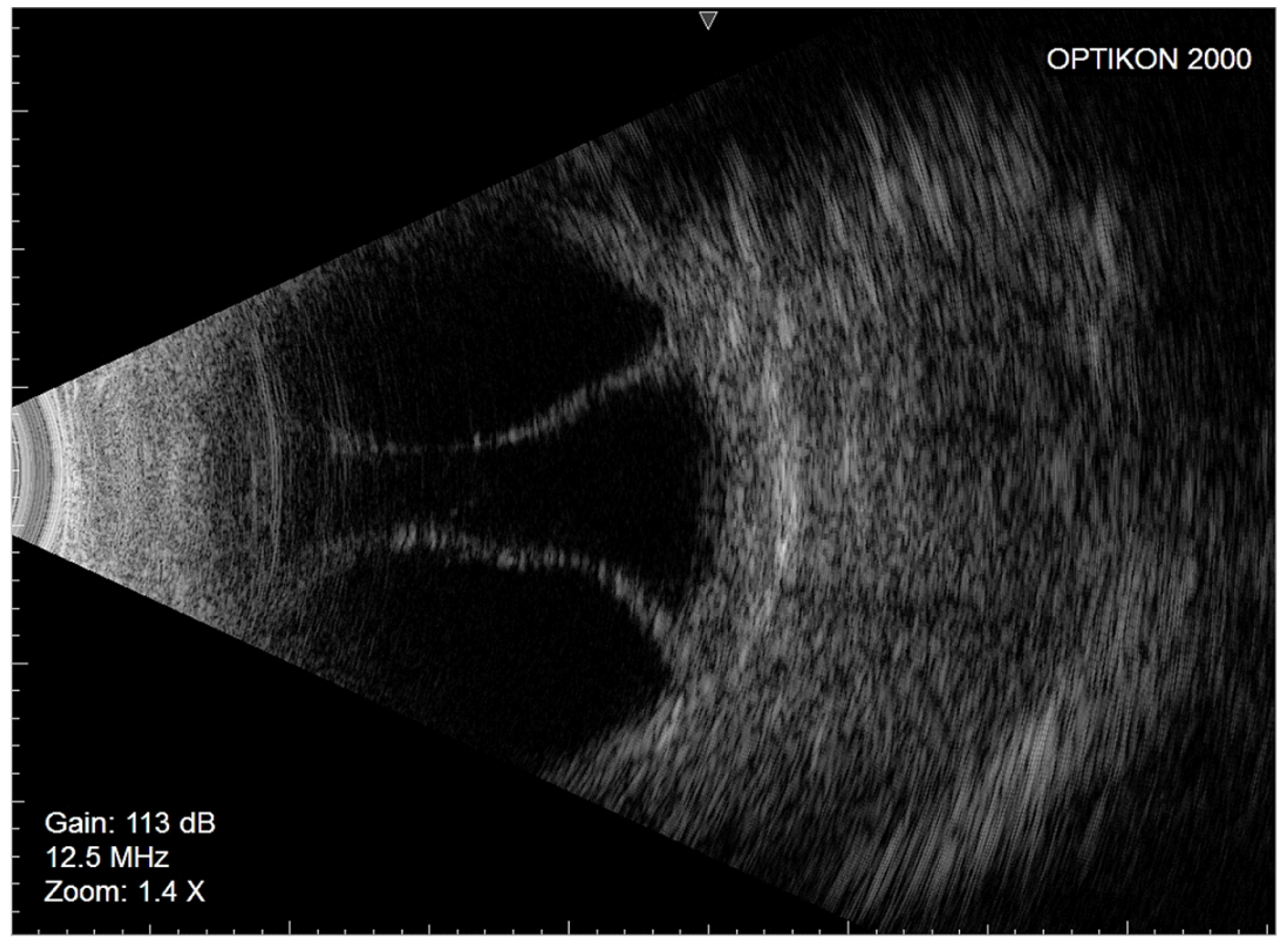 Gels 09 00276 g003 Gels 09 00276 g003