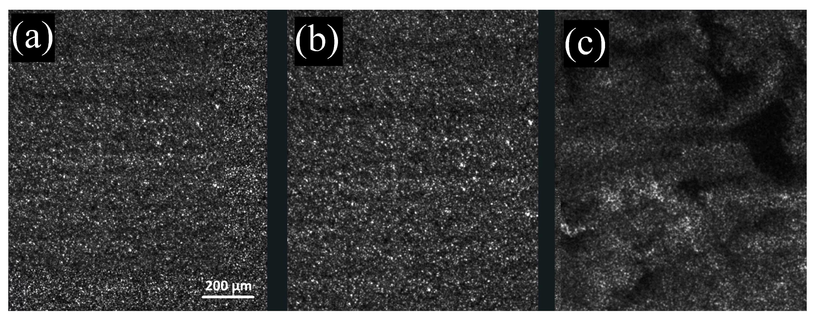 Gels 09 00347 g003 Gels 09 00347 g003