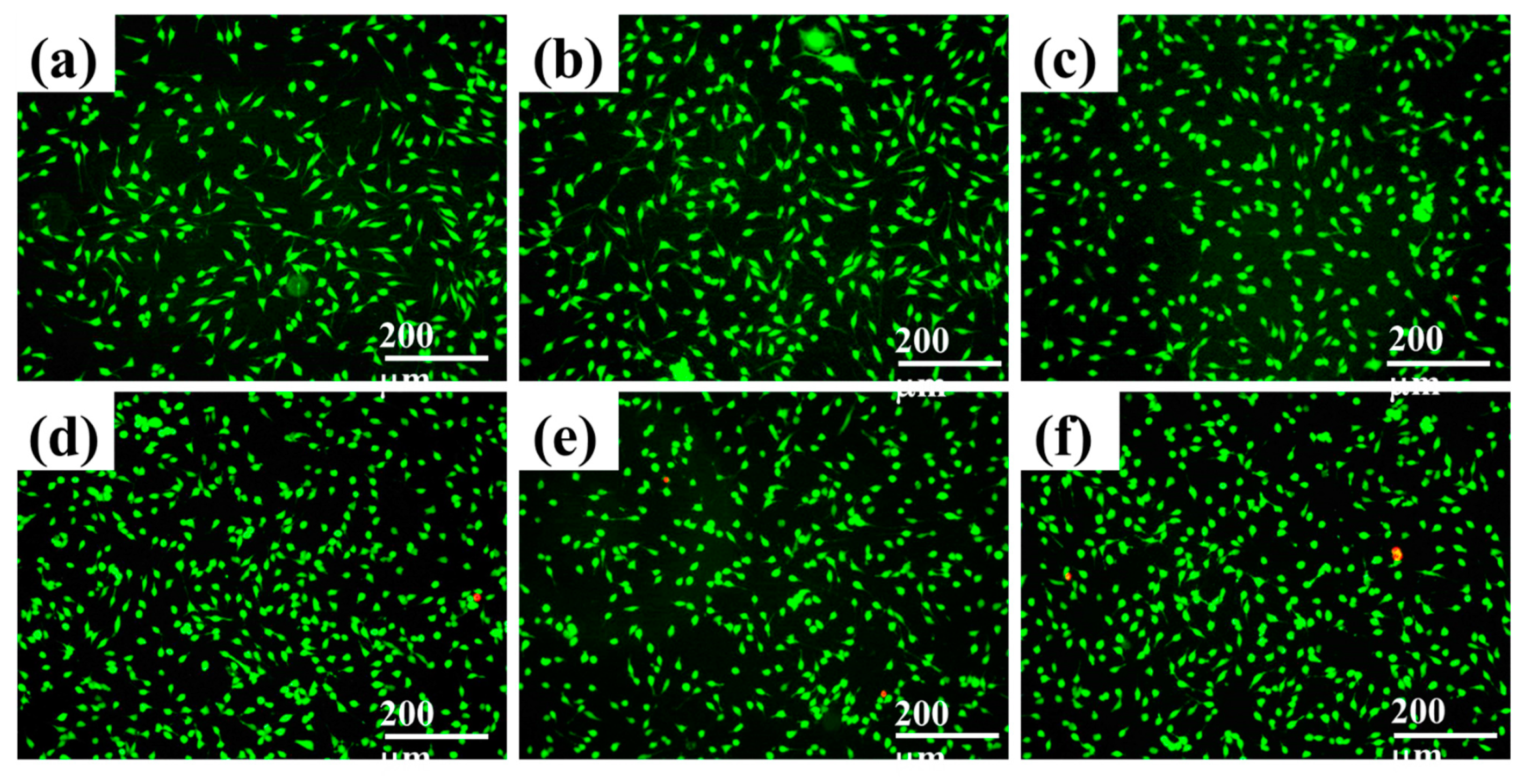 Gels 09 00354 g005 Gels 09 00354 g005