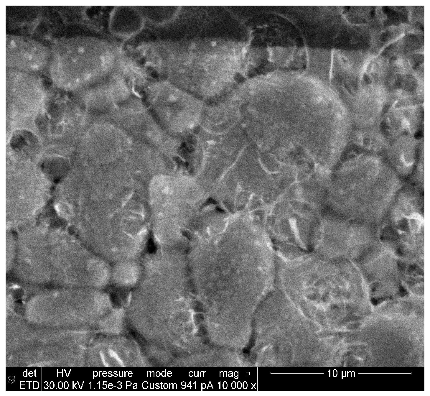 Gels 09 00355 g002b Gels 09 00355 g002b