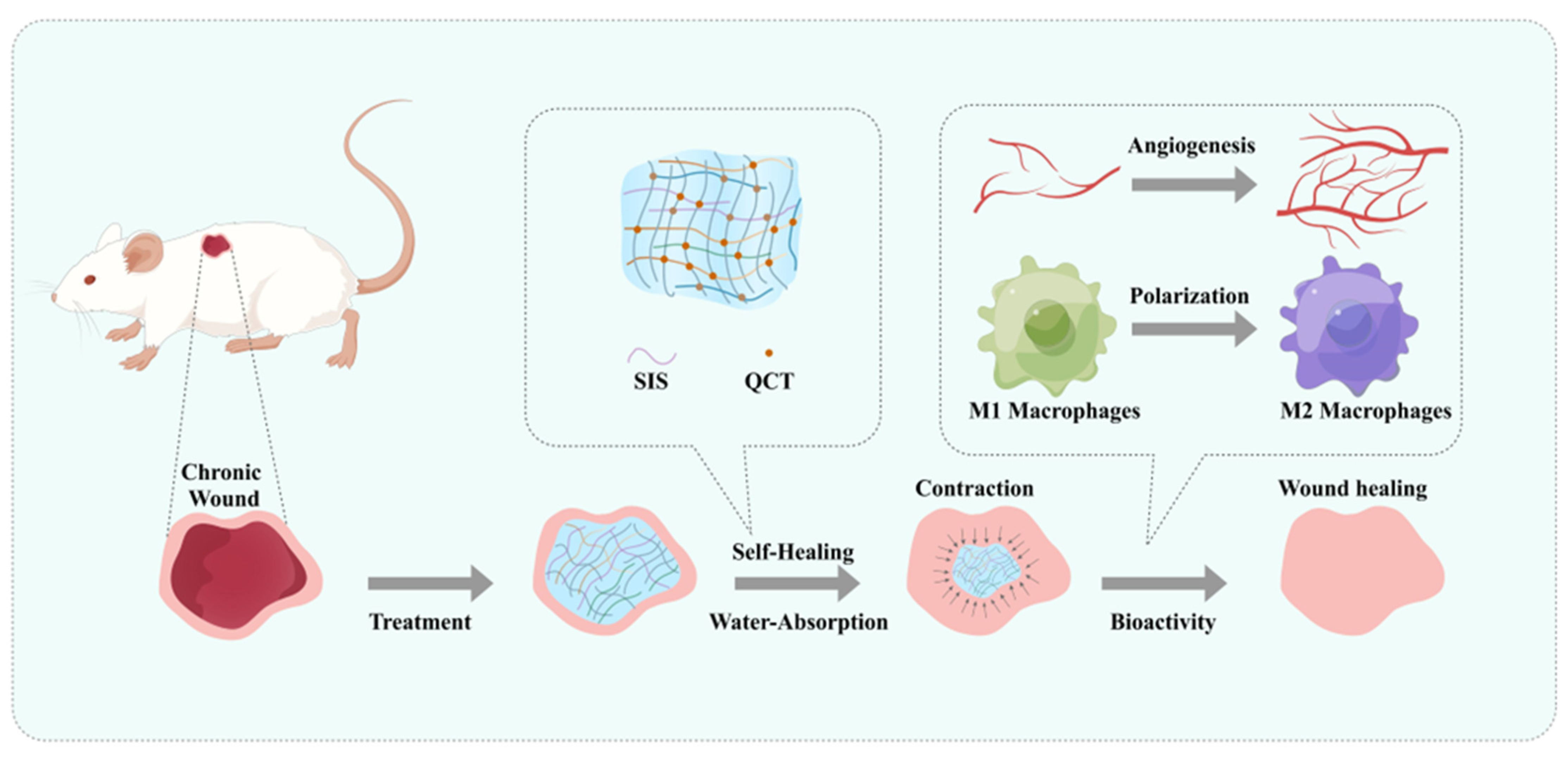 Gels 09 00381 g001 Gels 09 00381 g001