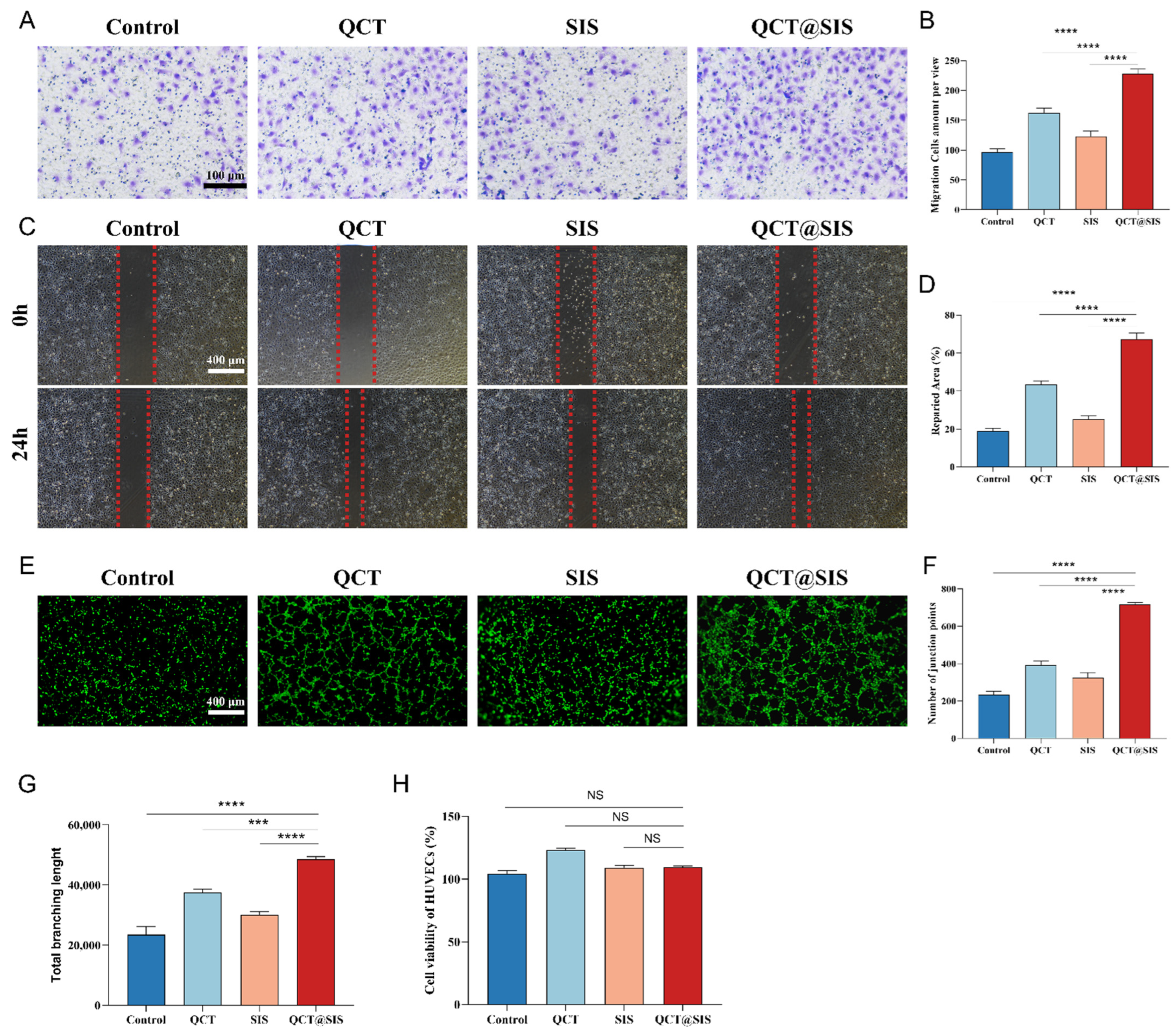 Gels 09 00381 g003 Gels 09 00381 g003