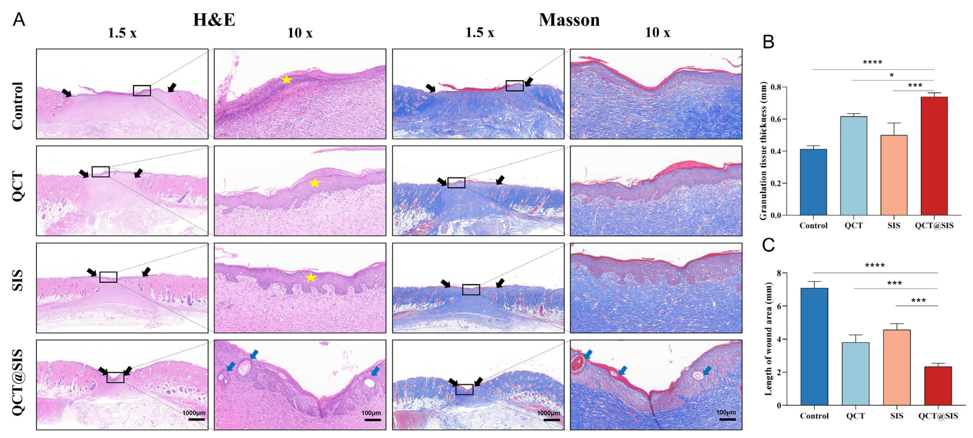 Gels 09 00381 g005 Gels 09 00381 g005