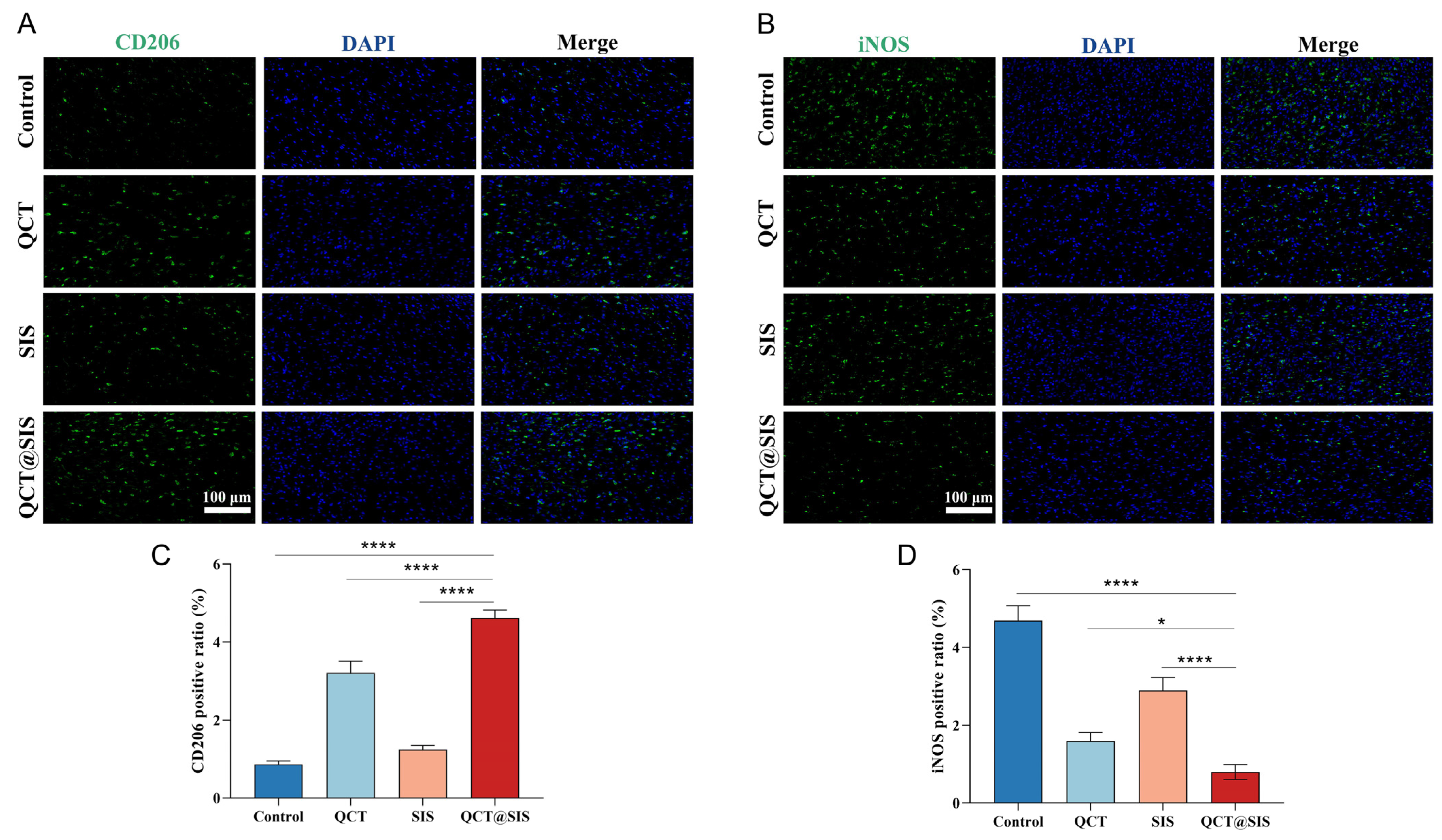 Gels 09 00381 g007 Gels 09 00381 g007