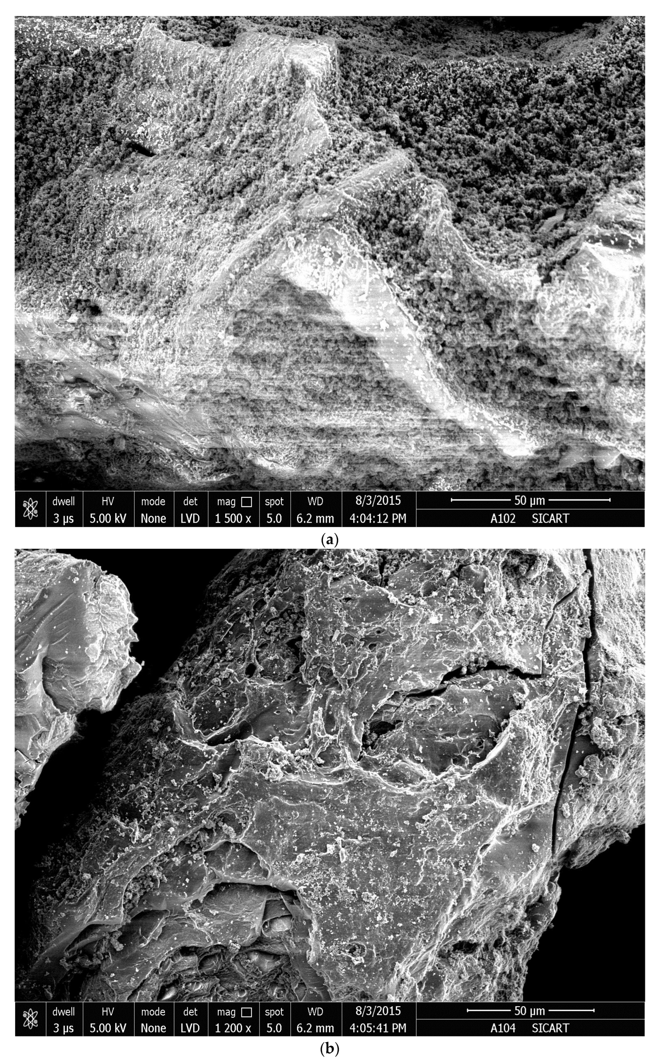 Gels 09 00407 g008a Gels 09 00407 g008a