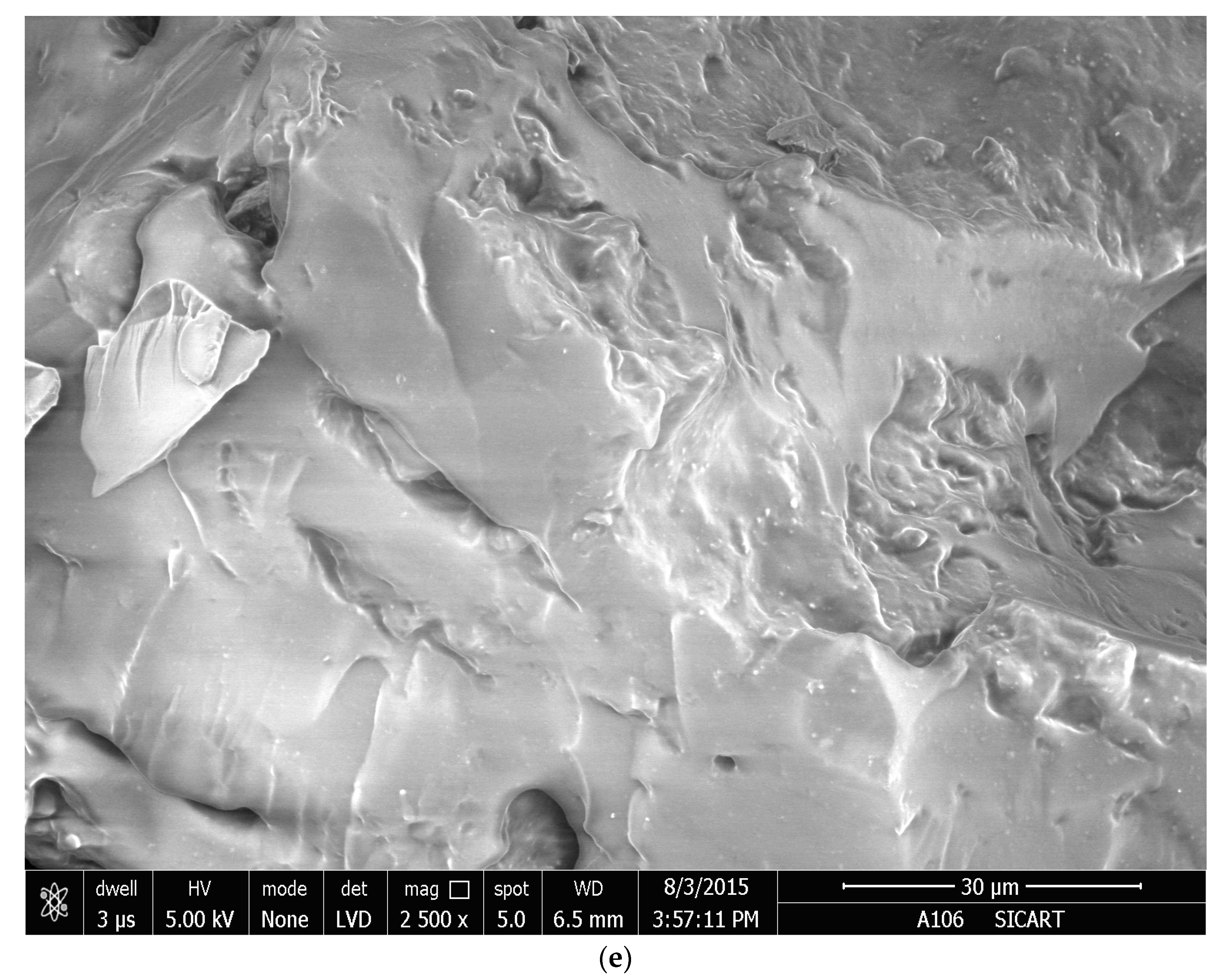 Gels 09 00407 g008c Gels 09 00407 g008c