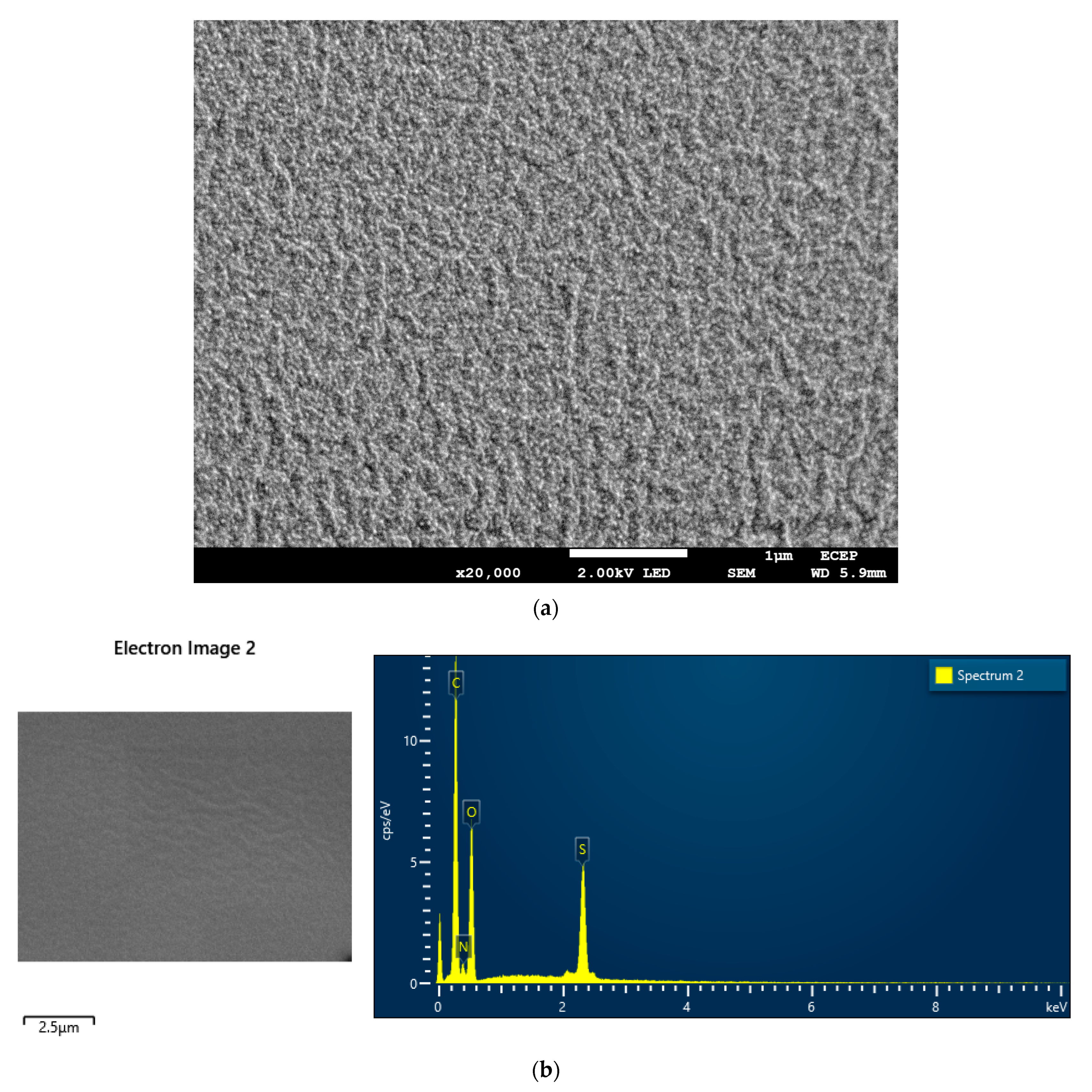 Gels 09 00426 g007 Gels 09 00426 g007