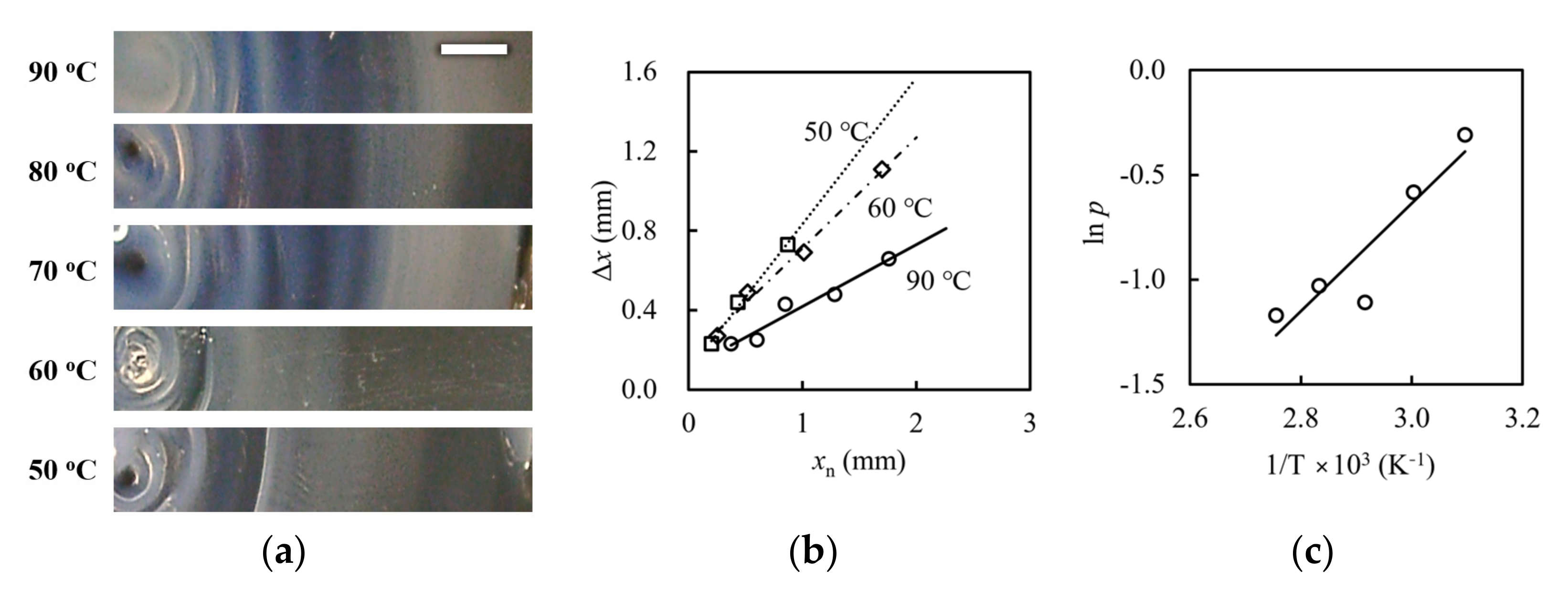 Gels 09 00444 g003 Gels 09 00444 g003