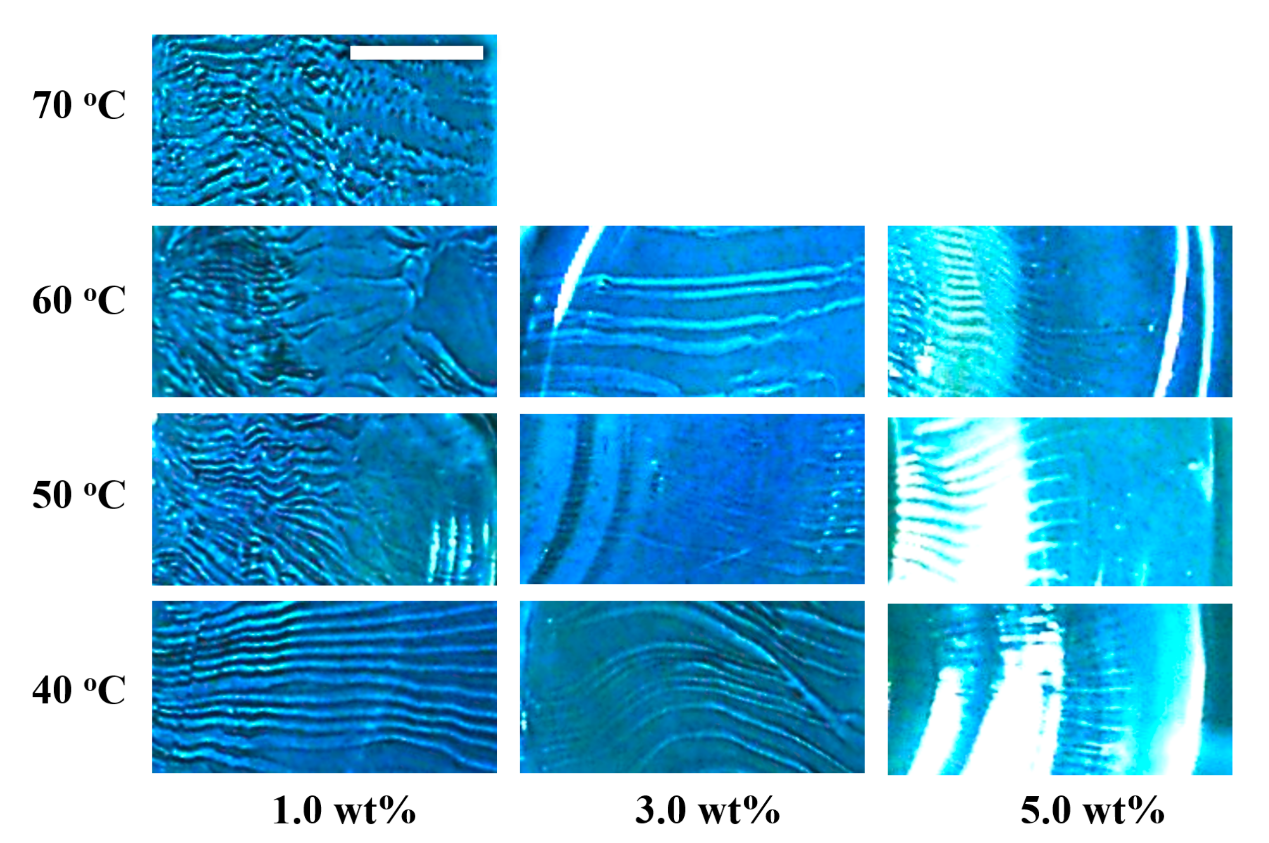 Gels 09 00444 g005 Gels 09 00444 g005