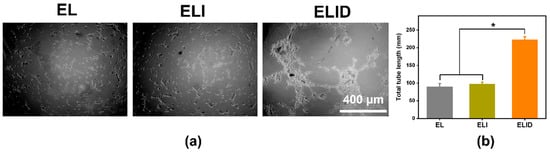 Gels 09 00472 g007 550