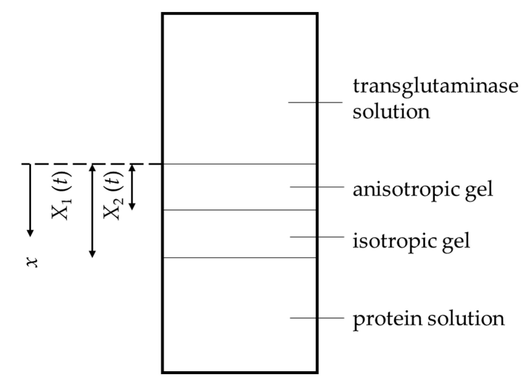 Gels 09 00478 g001 Gels 09 00478 g001