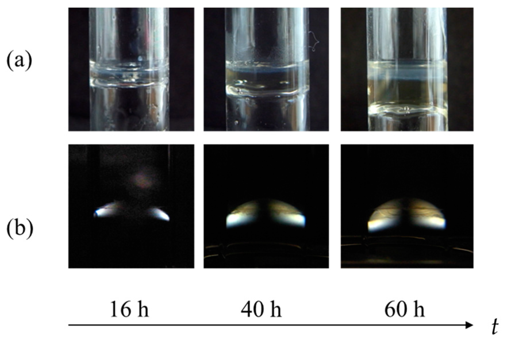 Gels 09 00478 g003 Gels 09 00478 g003