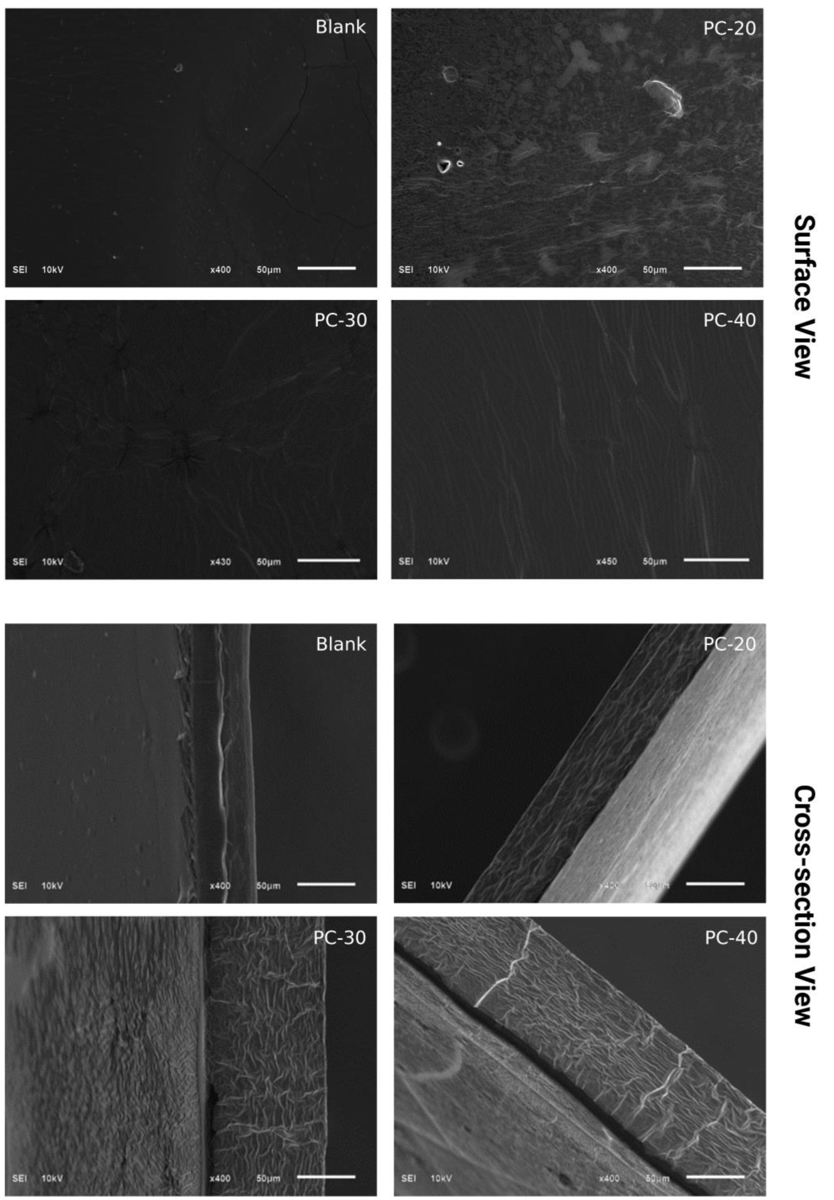 Gels 09 00511 g003 Gels 09 00511 g003
