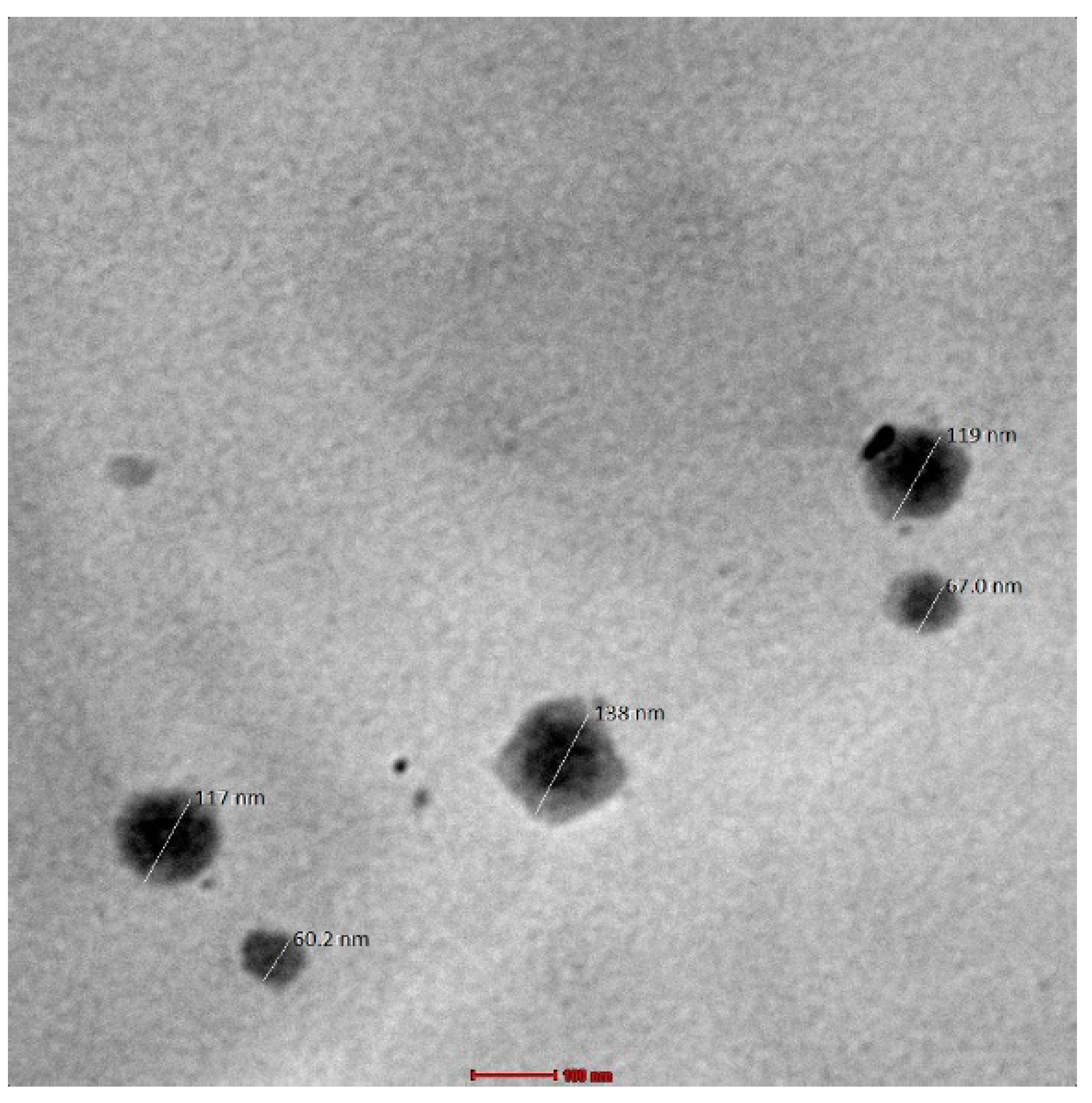 Gels 09 00516 g010