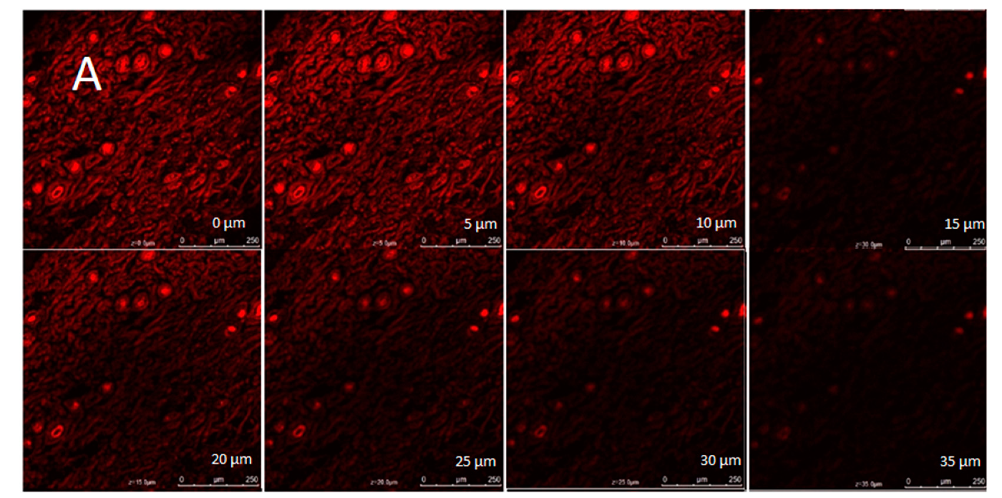 Gels 09 00516 g011a