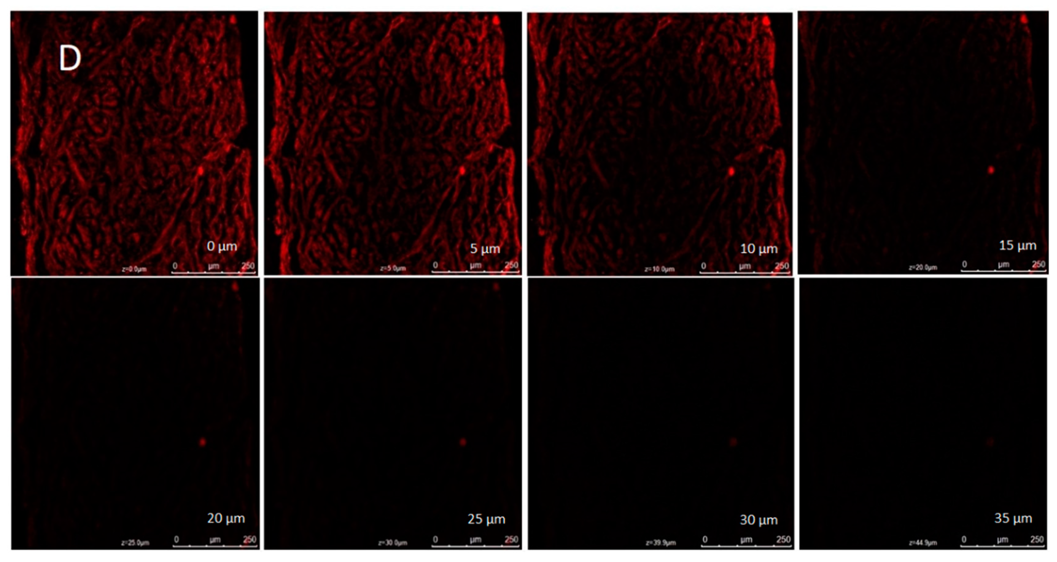 Gels 09 00516 g011d