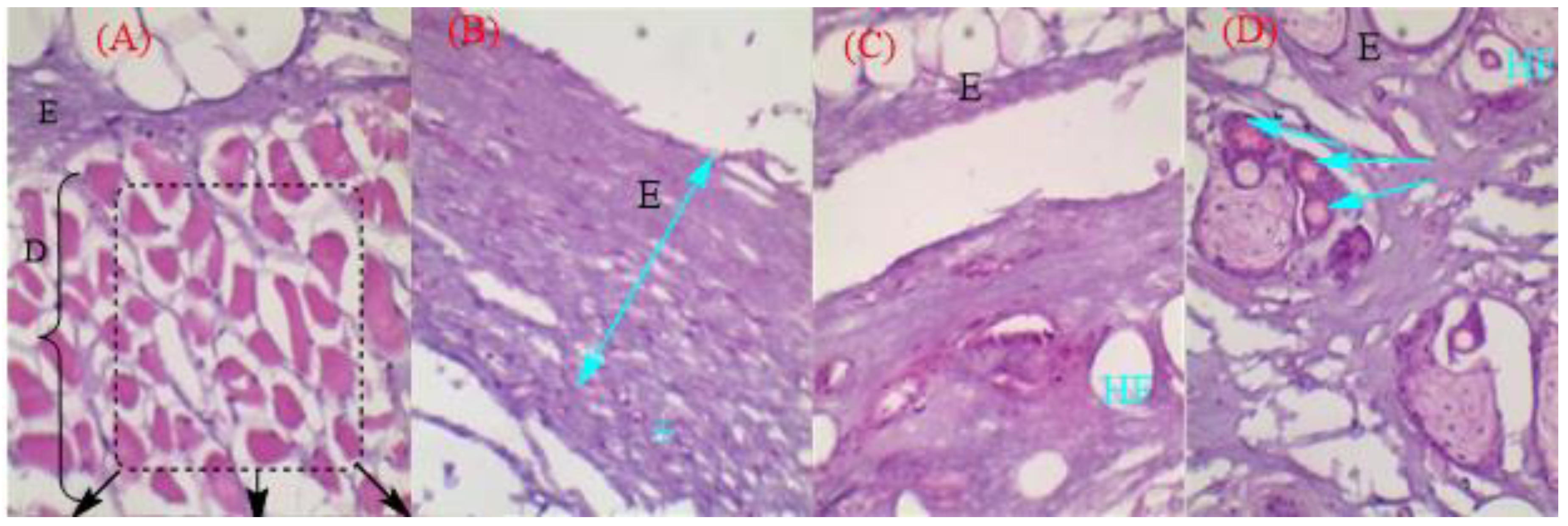 Gels 09 00516 g016