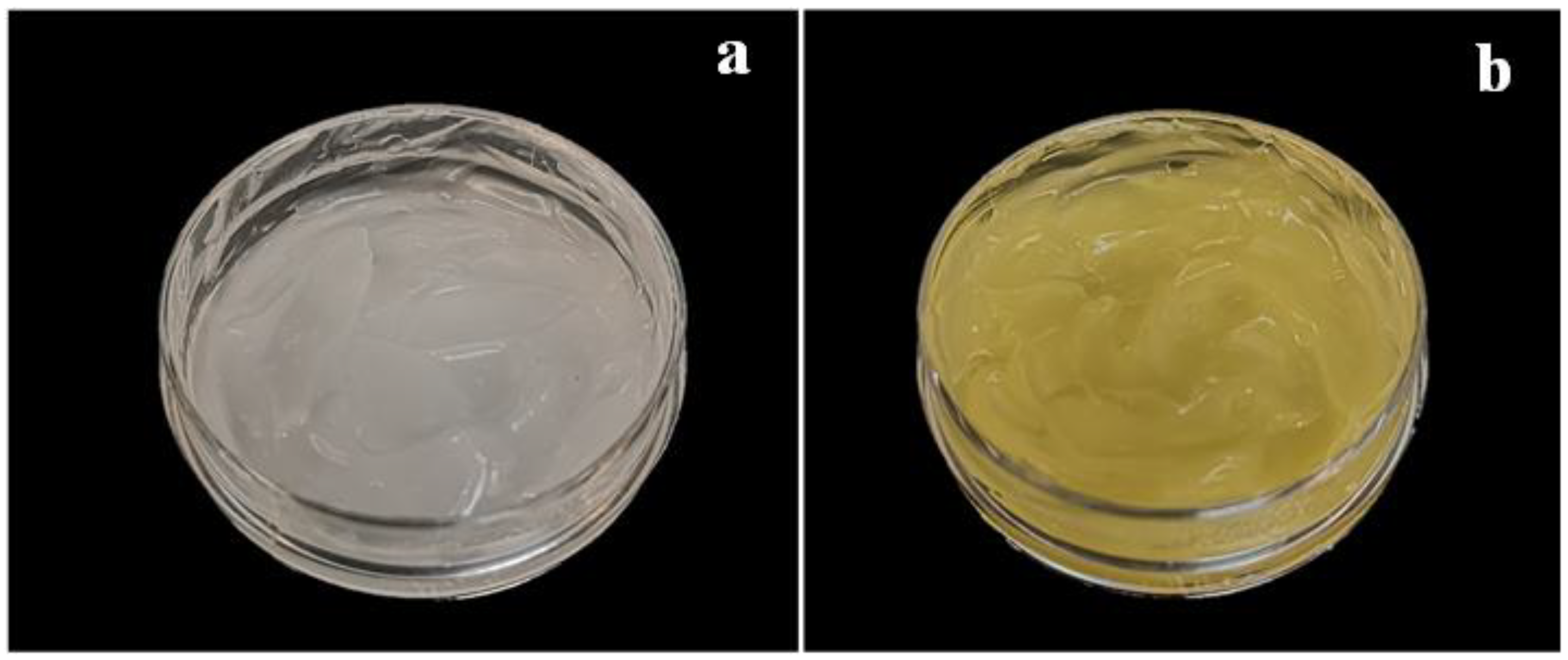 Gels 09 00521 g002 Gels 09 00521 g002