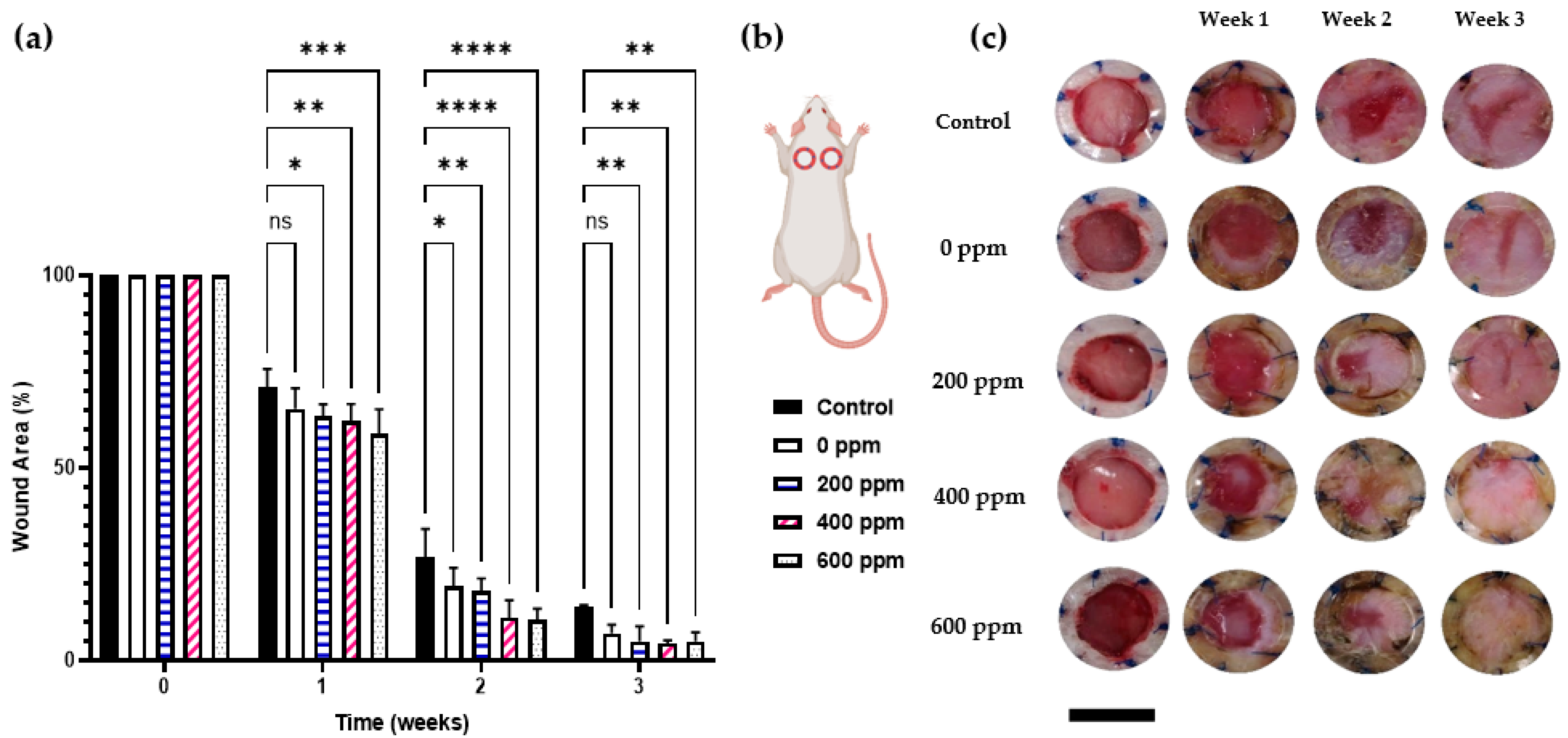 Gels 09 00542 g004 Gels 09 00542 g004