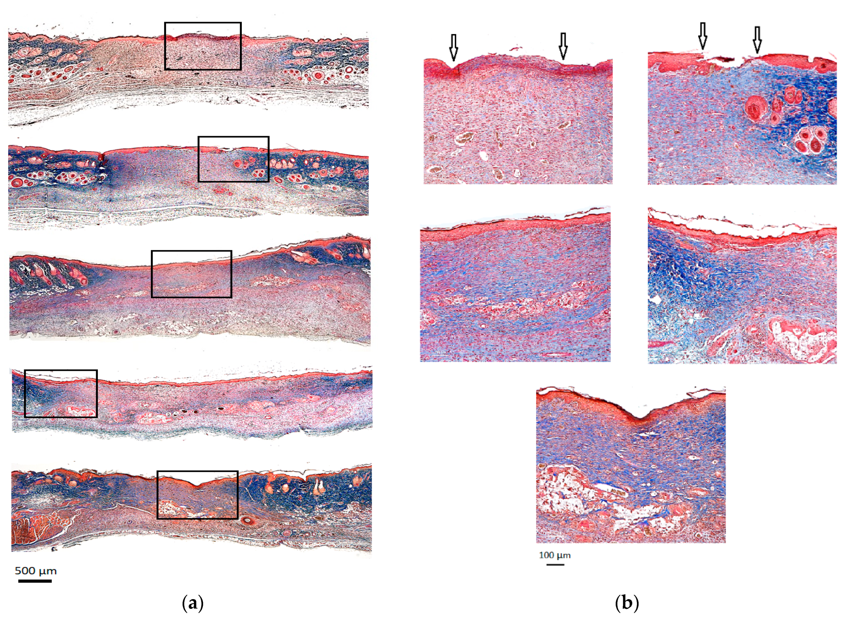 Gels 09 00542 g005 Gels 09 00542 g005