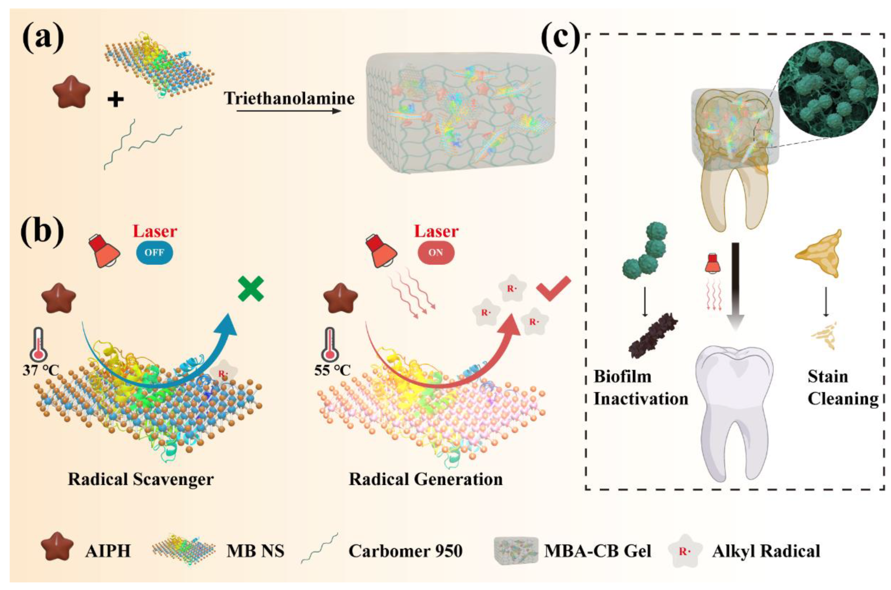 Gels 09 00554 sch001