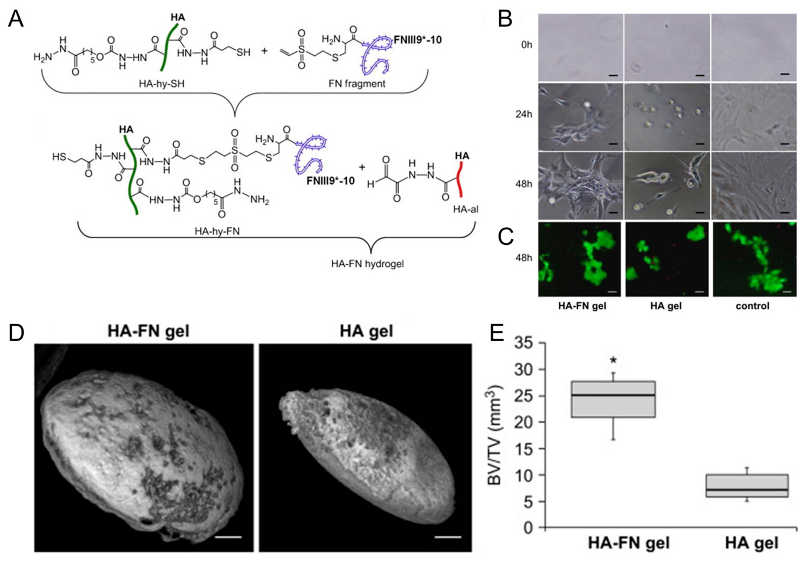 Gels 09 00588 g003 Gels 09 00588 g003