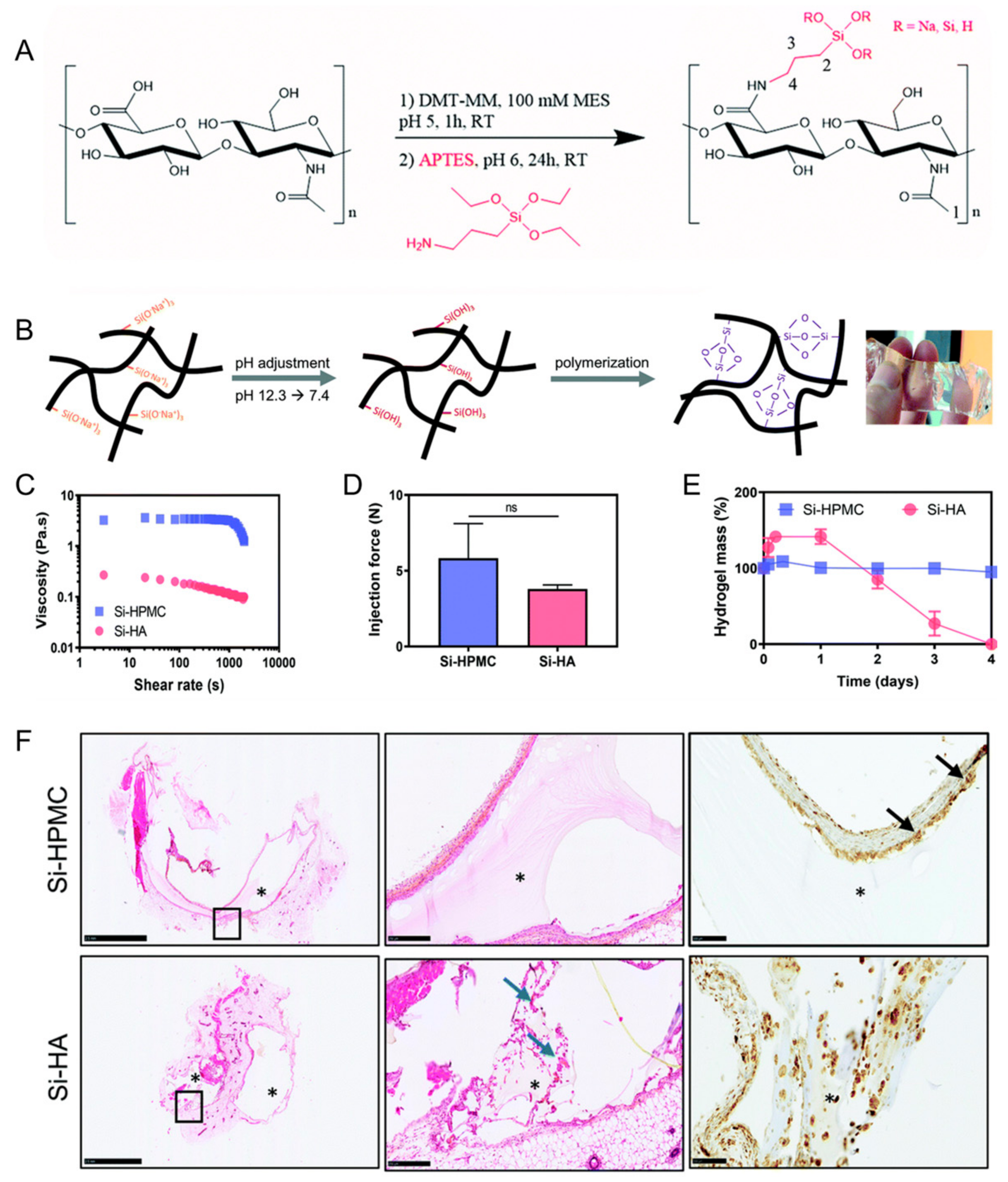 Gels 09 00588 g004 Gels 09 00588 g004