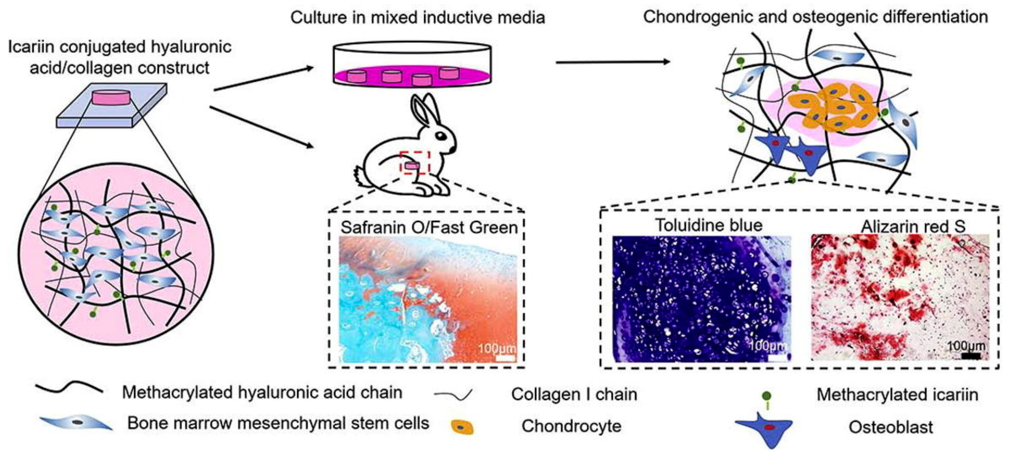 Gels 09 00588 g005 Gels 09 00588 g005