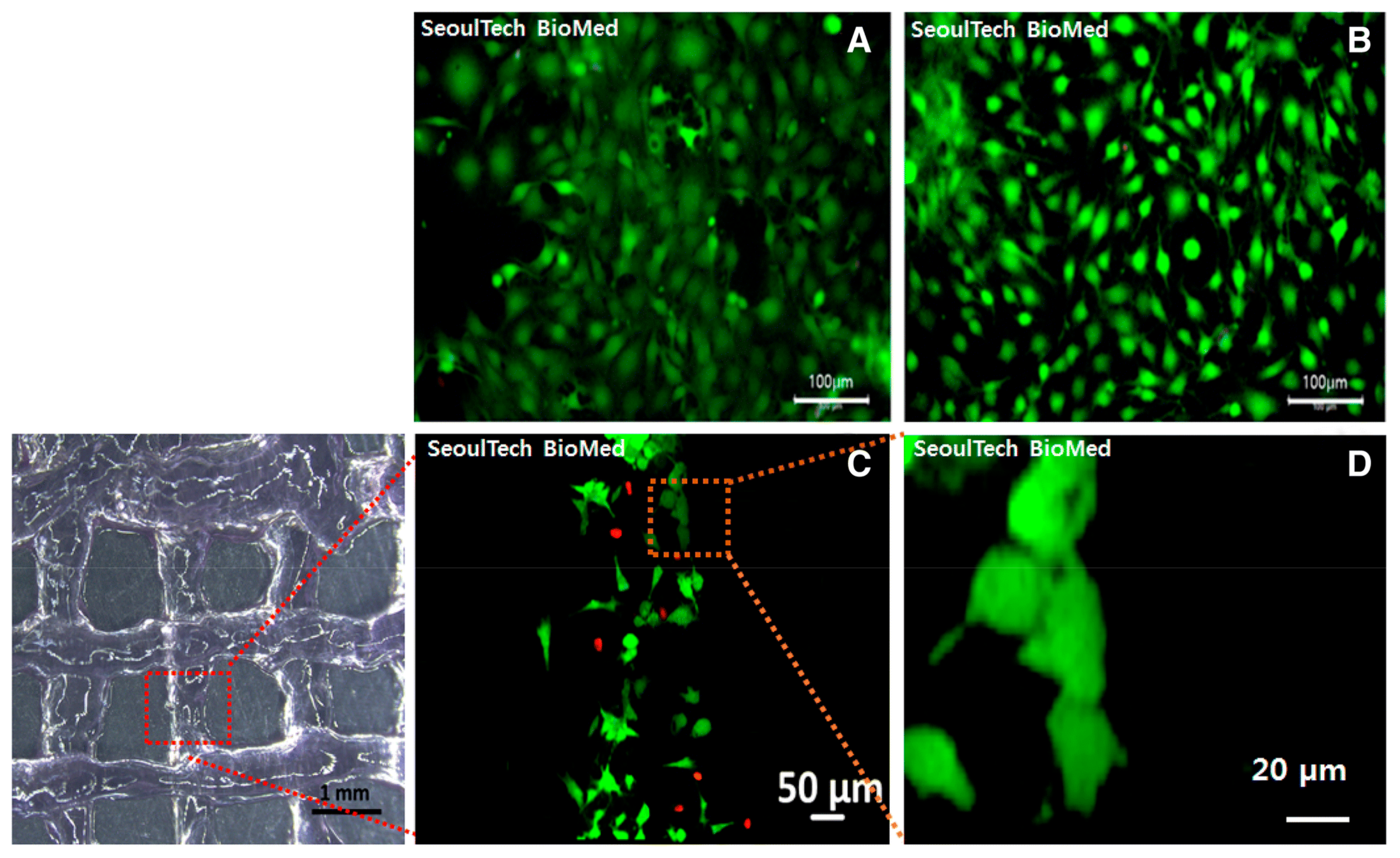 Gels 09 00588 g008 Gels 09 00588 g008