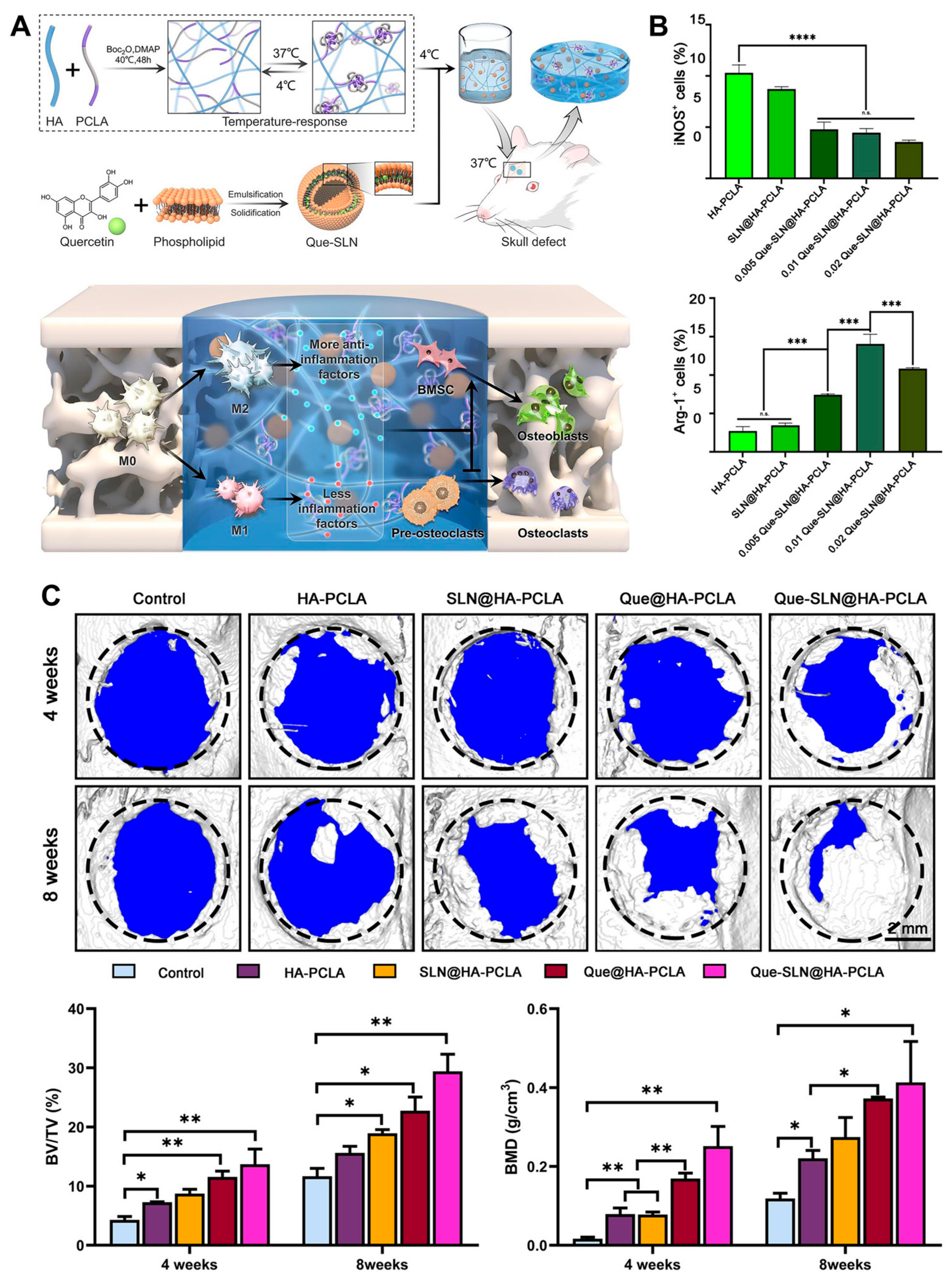 Gels 09 00588 g010 Gels 09 00588 g010