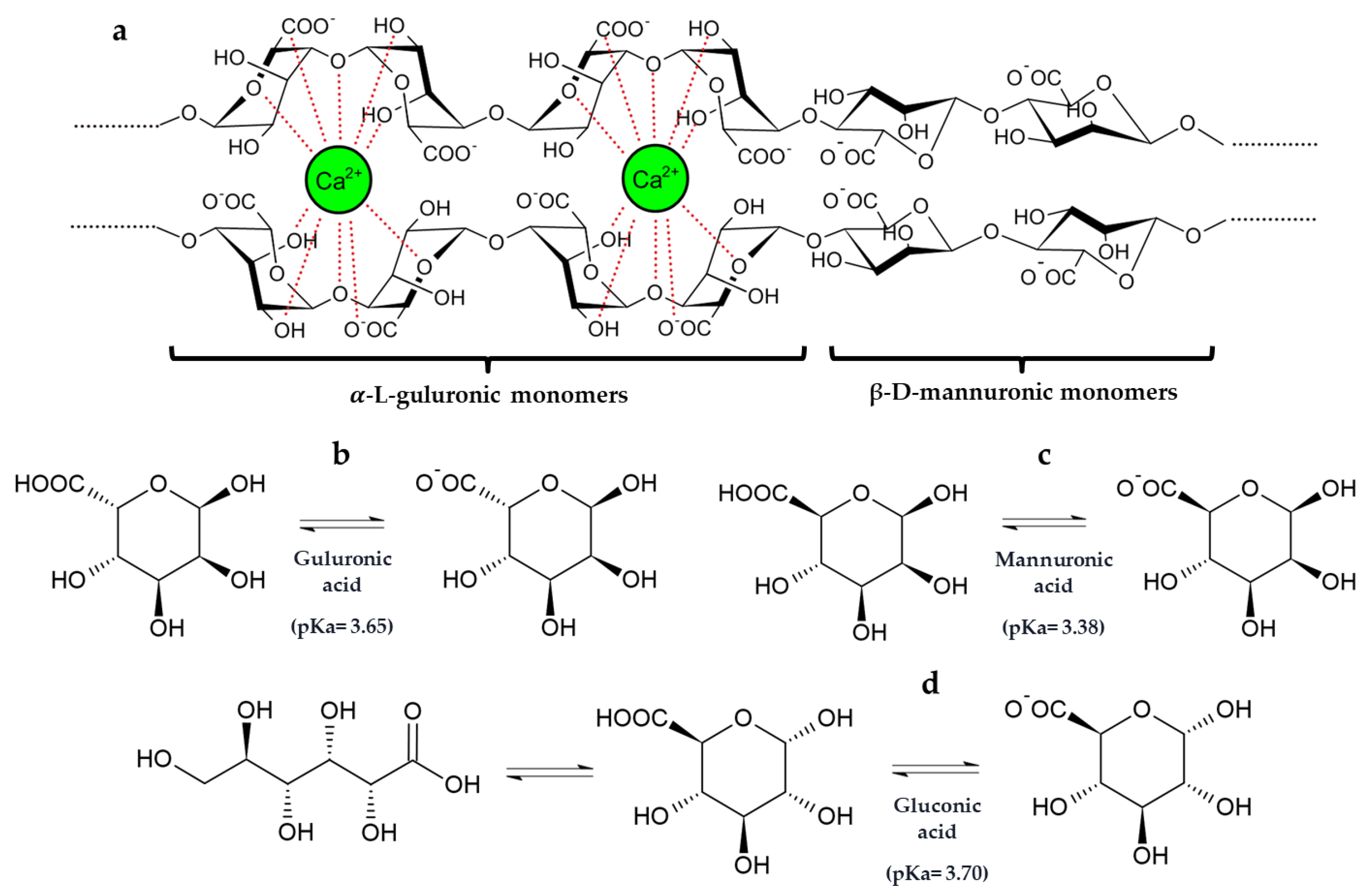 Gels 09 00622 g004 Gels 09 00622 g004