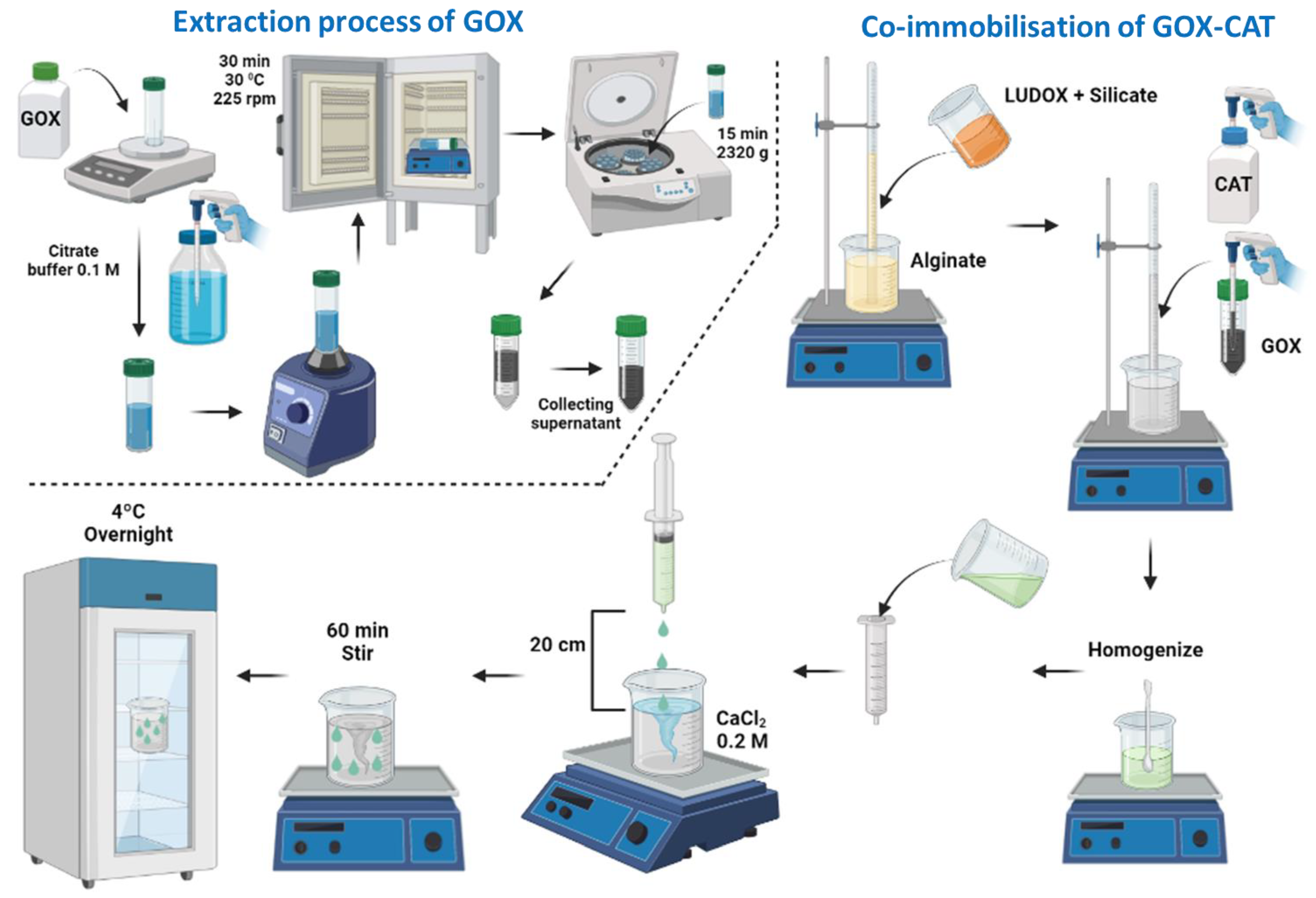 Gels 09 00622 g011 Gels 09 00622 g011