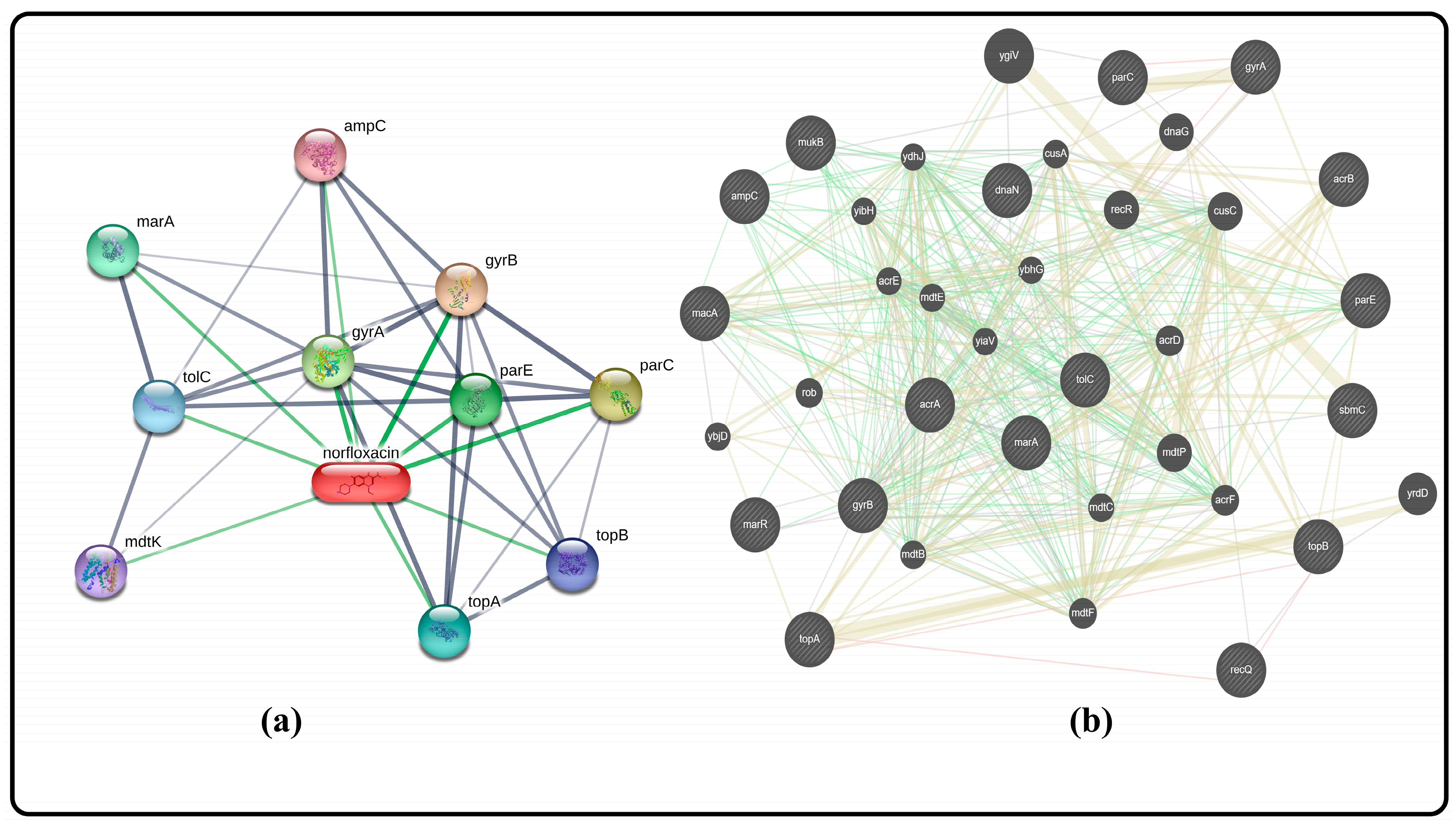 Gels 09 00657 g005 Gels 09 00657 g005