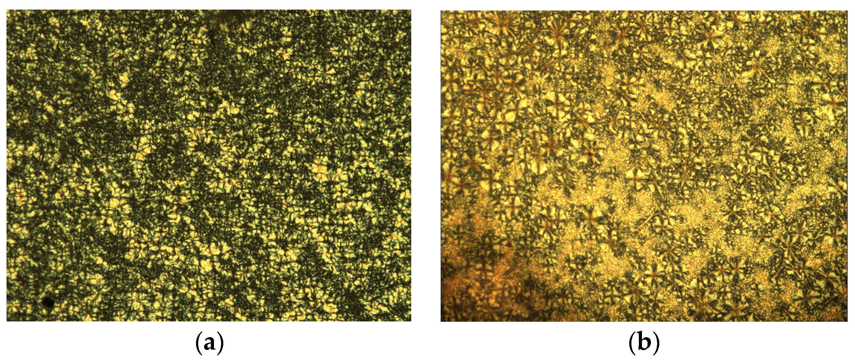 Gels 09 00777 g003 Gels 09 00777 g003