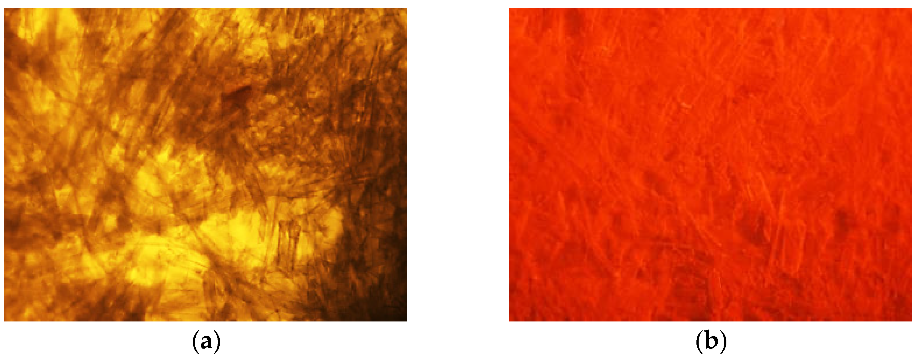 Gels 09 00777 g006 Gels 09 00777 g006