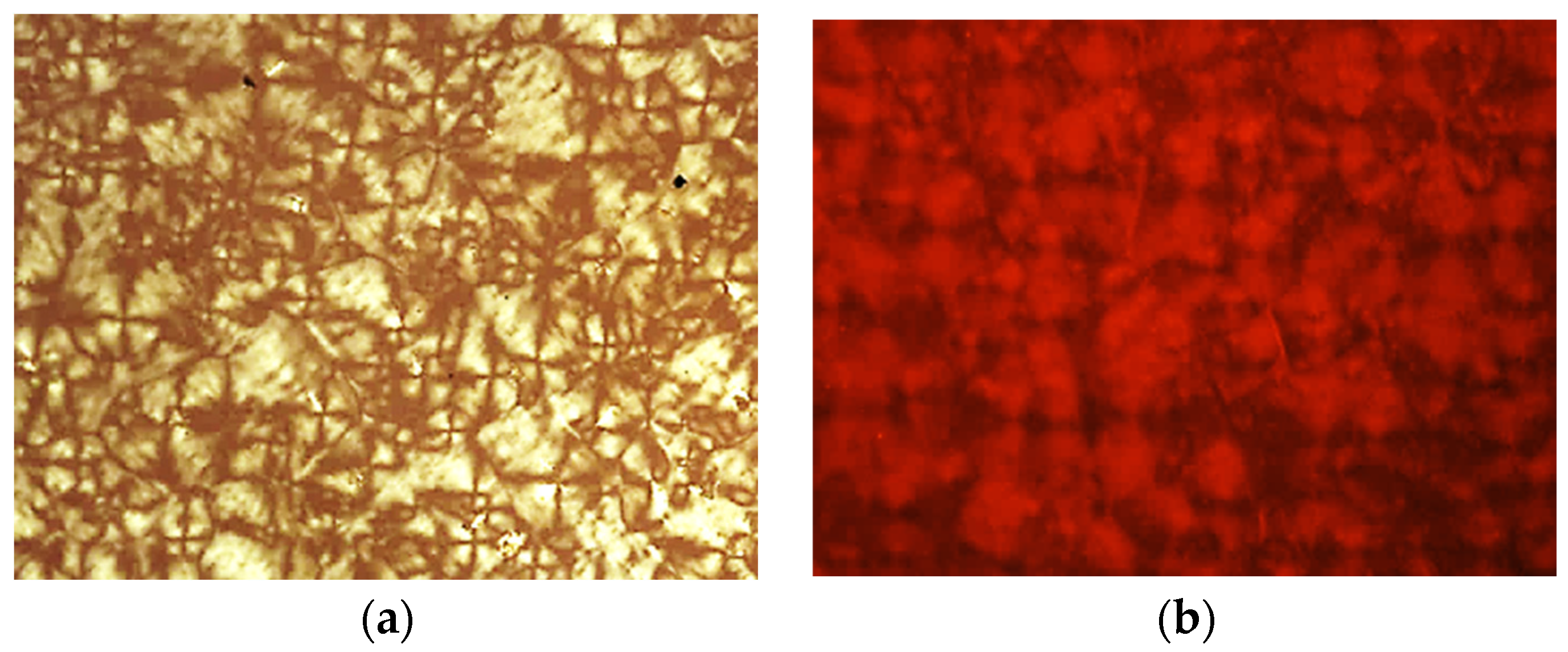 Gels 09 00777 g009 Gels 09 00777 g009