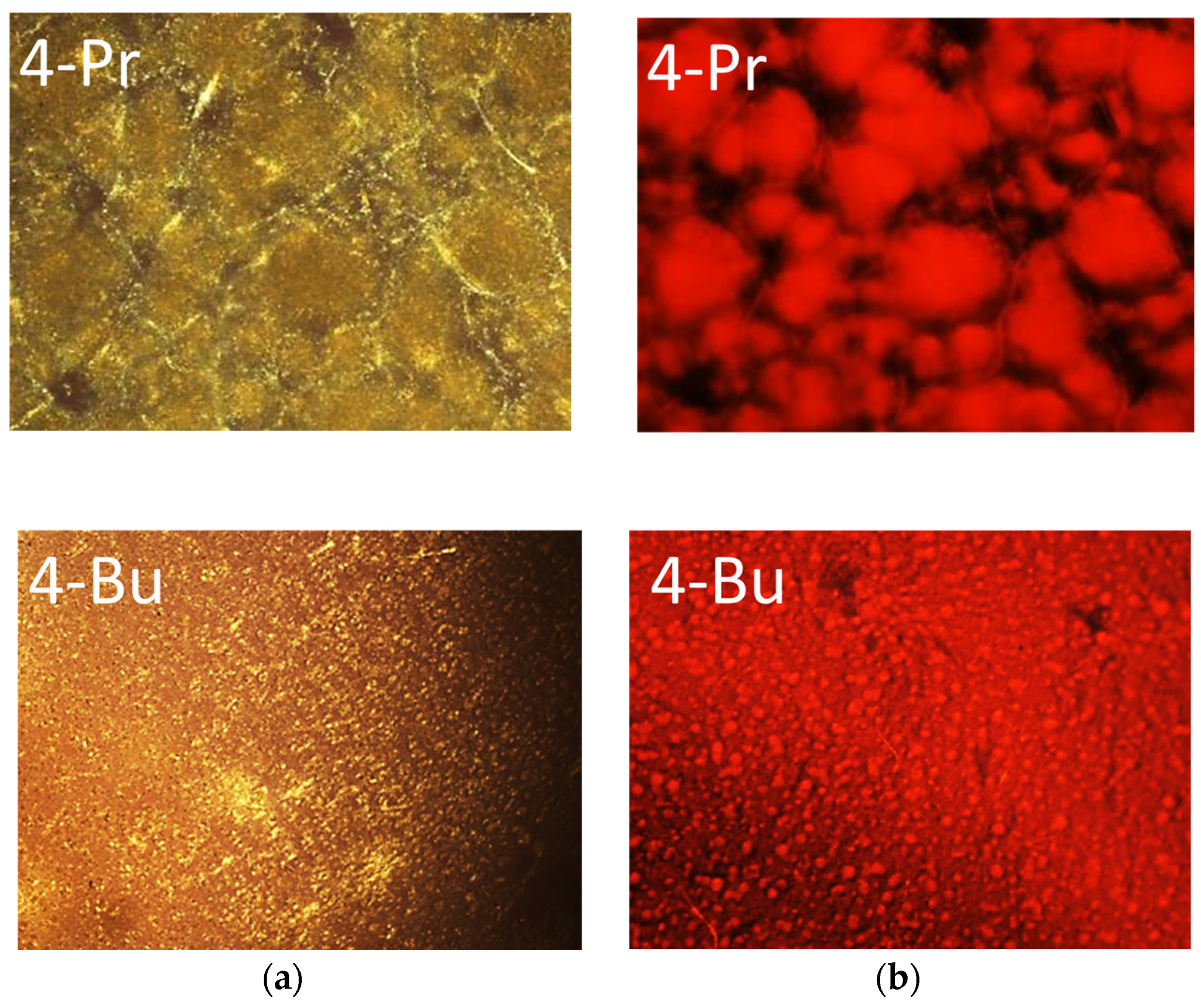 Gels 09 00777 g010 Gels 09 00777 g010