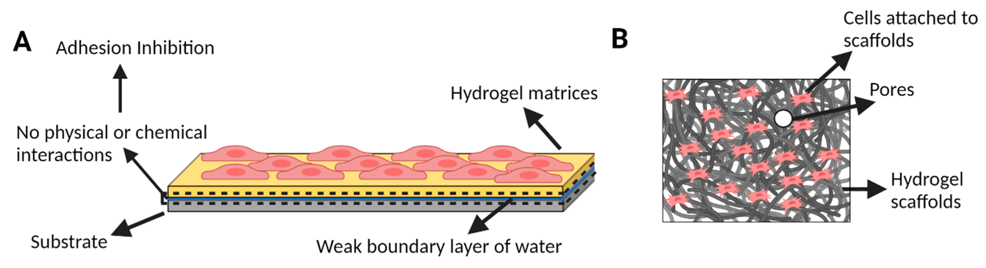 Gels 09 00790 g001 Gels 09 00790 g001