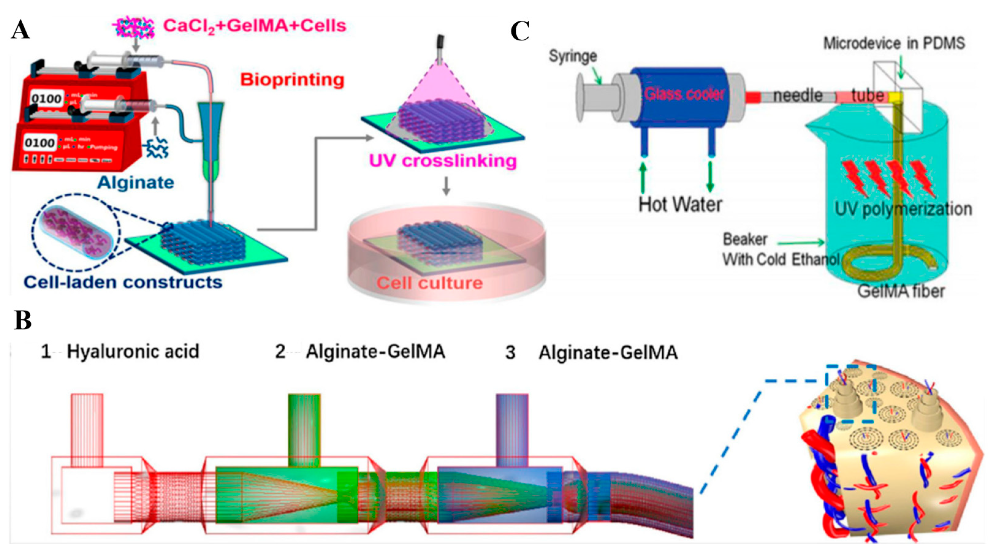 Gels 09 00790 g007 Gels 09 00790 g007