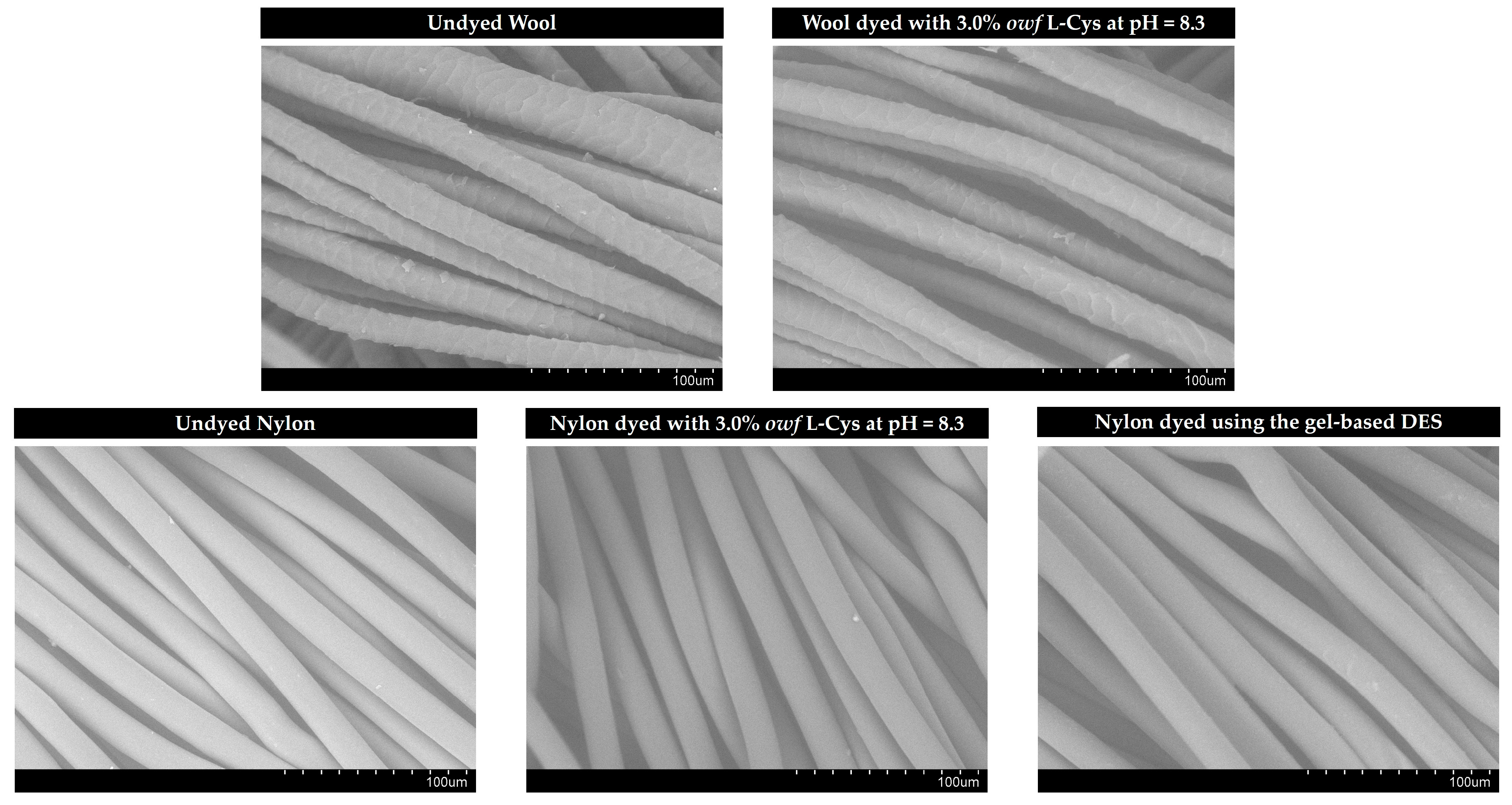 Gels 09 00800 g005 Gels 09 00800 g005