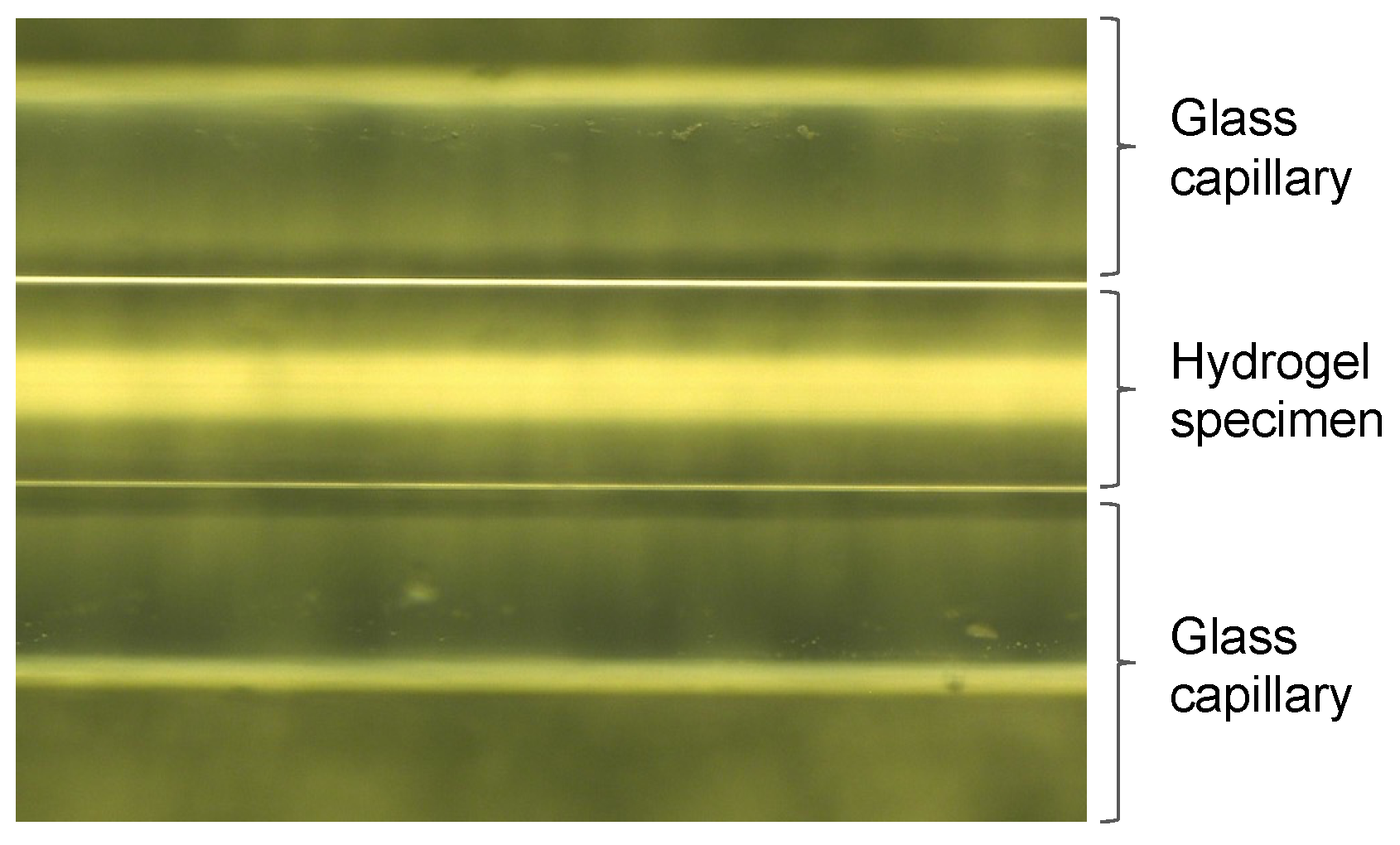 Gels 09 00850 g016 Gels 09 00850 g016