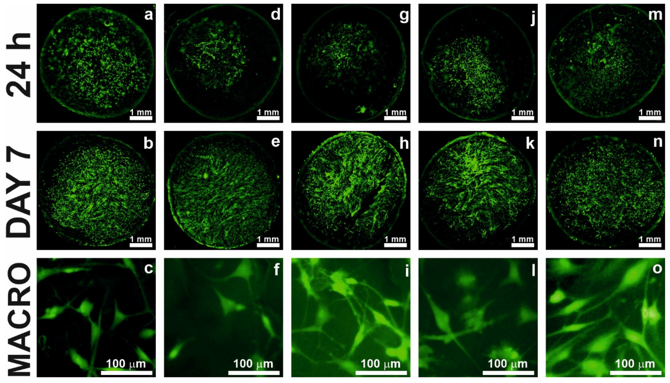 Gels 09 00900 g005
