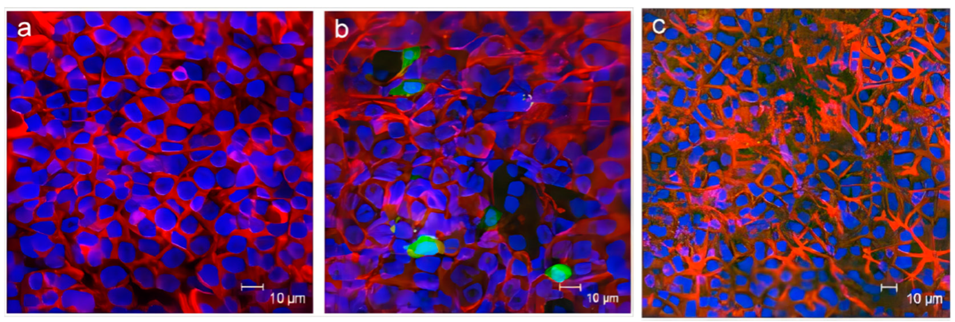 Gels 09 00969 g004 Gels 09 00969 g004