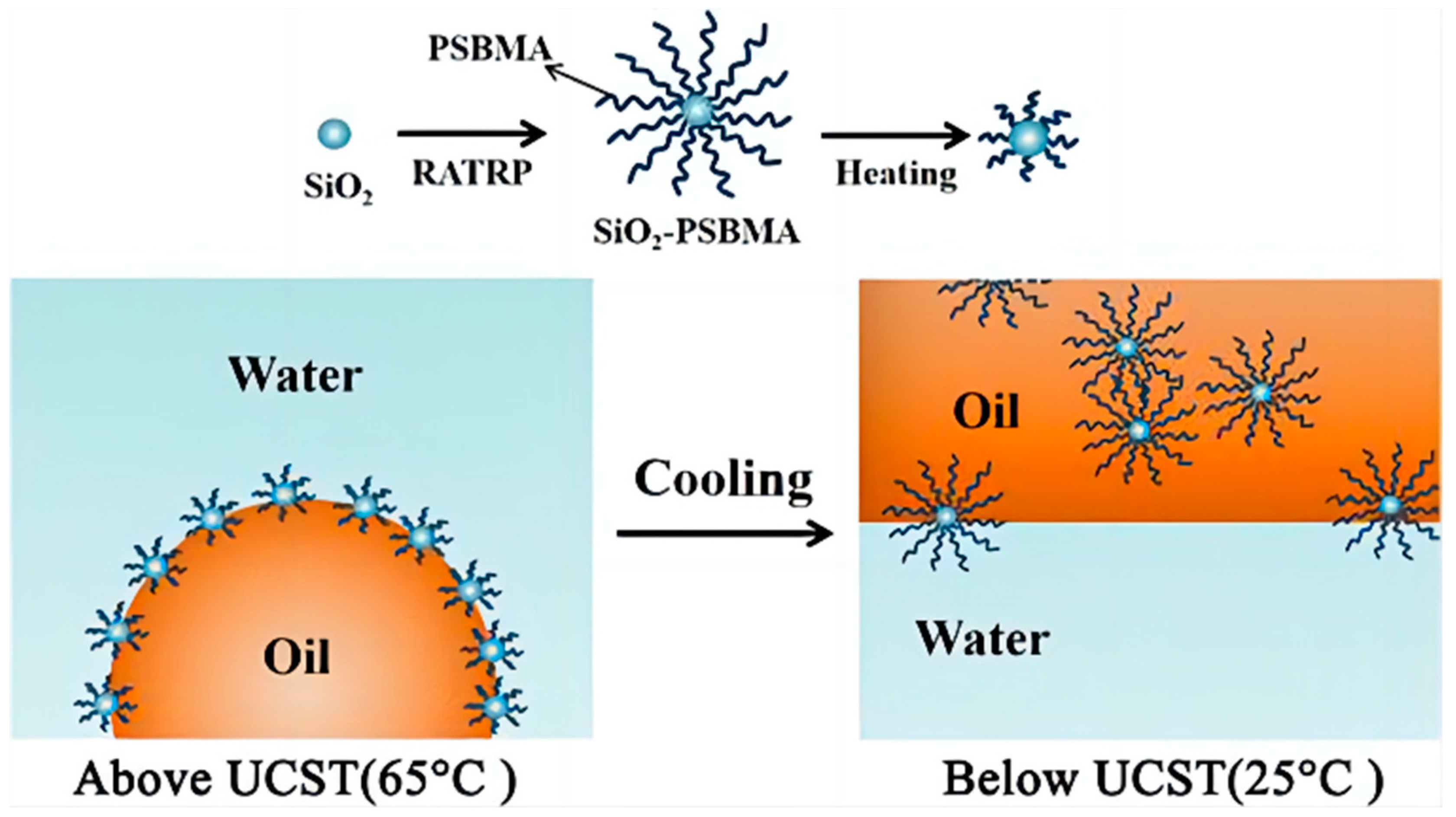 Gels 09 00969 g009 Gels 09 00969 g009