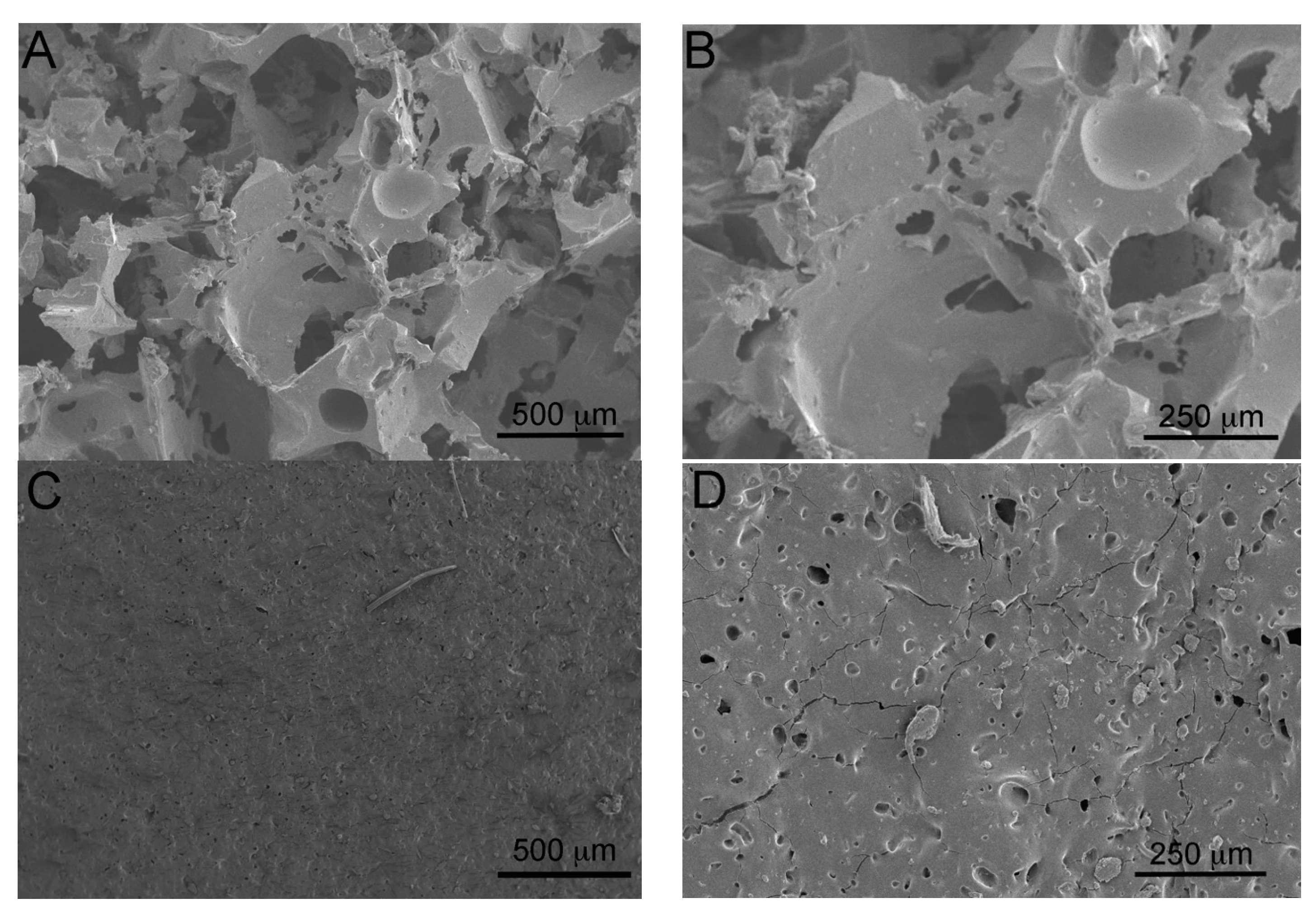 Gels 09 00985 g002