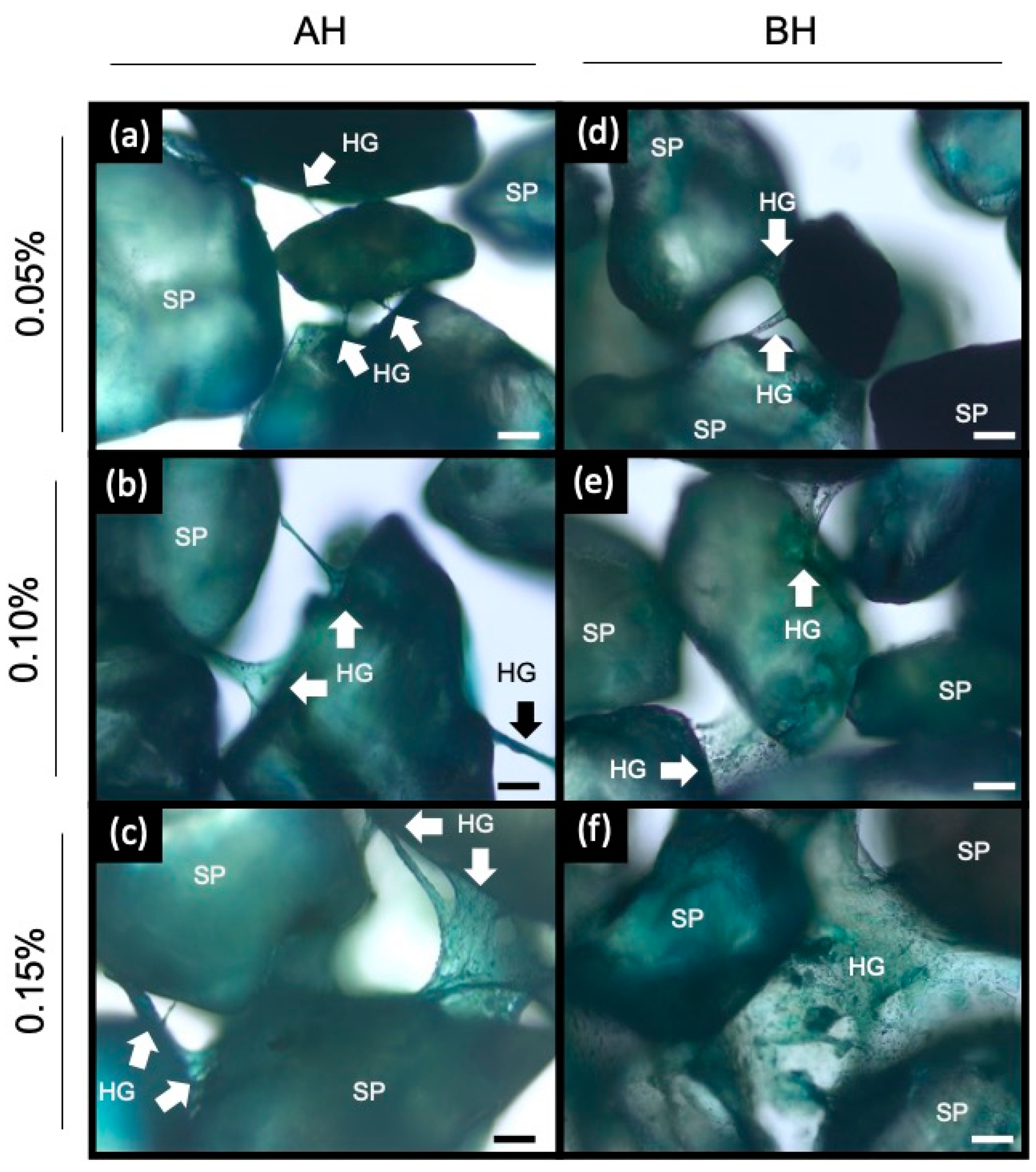 Gels 09 00988 g005