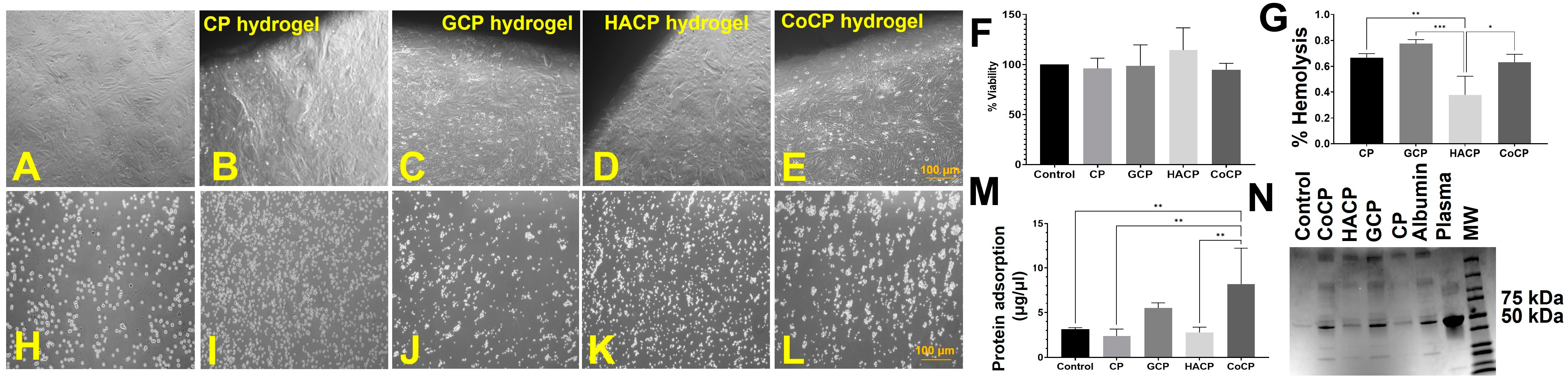 Gels 10 00046 g003