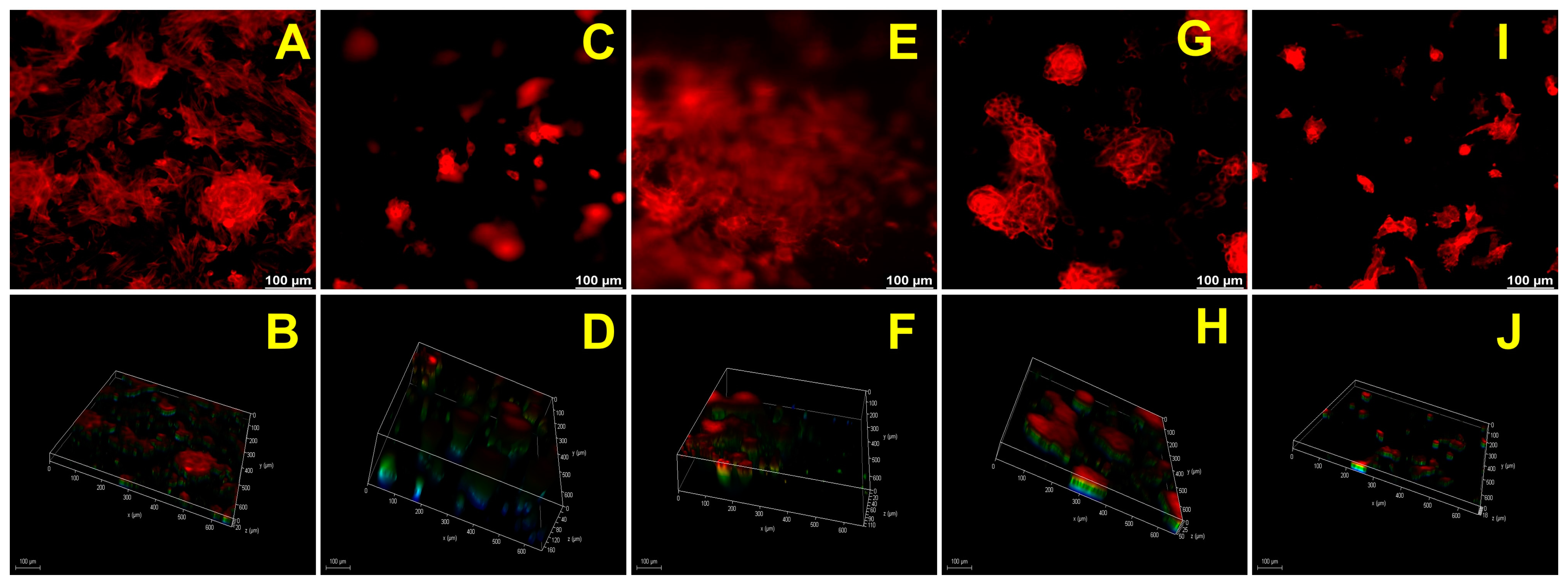 Gels 10 00046 g004