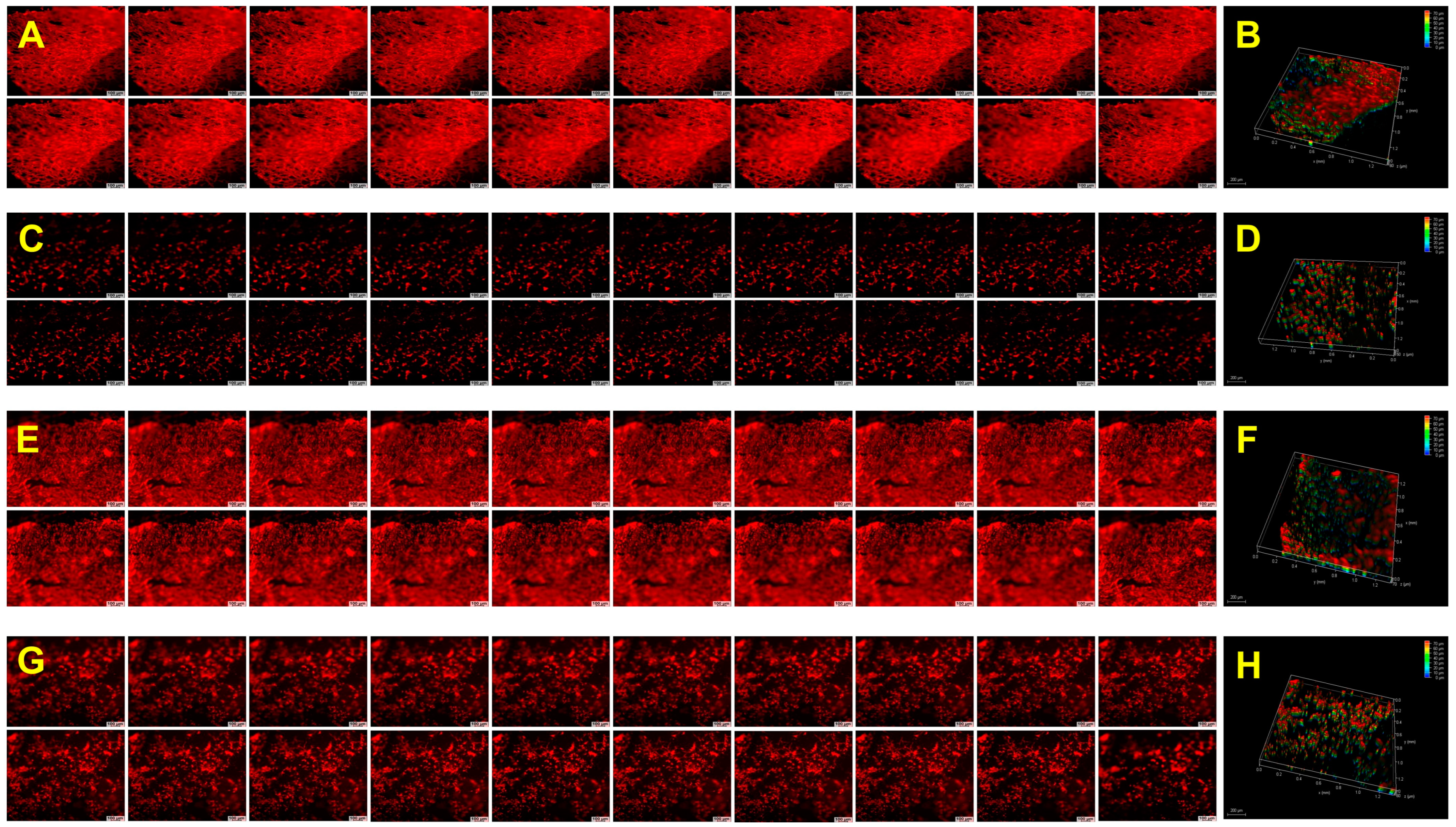 Gels 10 00046 g005
