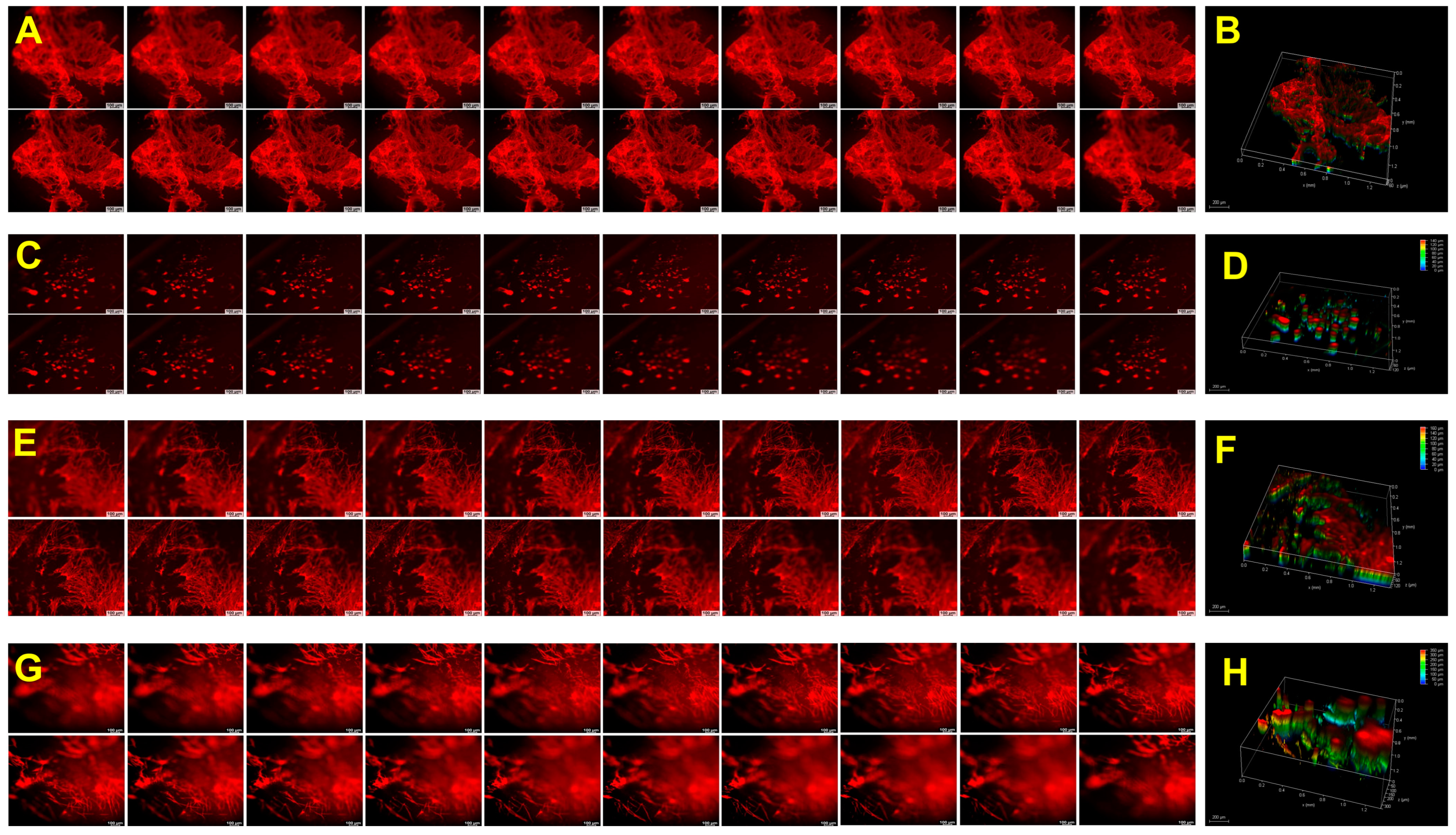 Gels 10 00046 g006